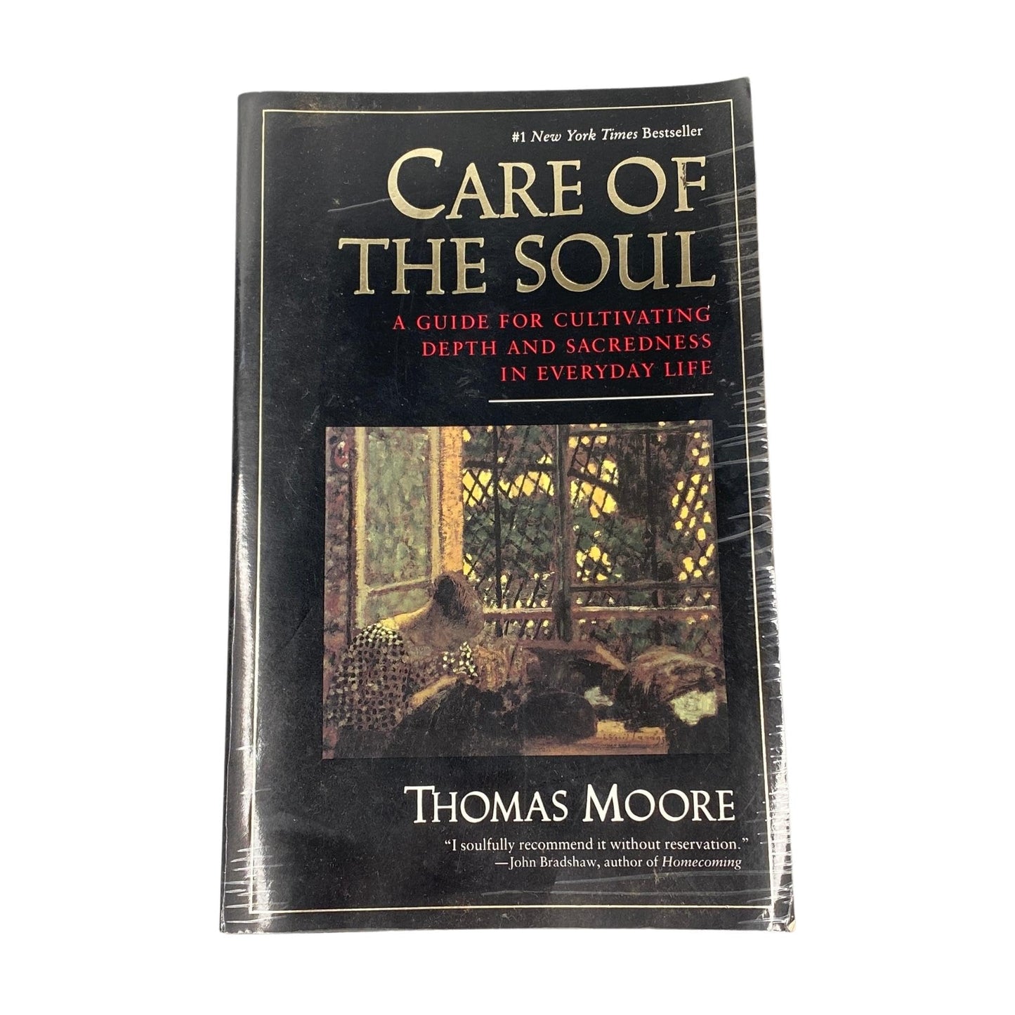 Care of the Soul: Guide for Cultivating Depth and Sacredness in Everyday Life, a book cover