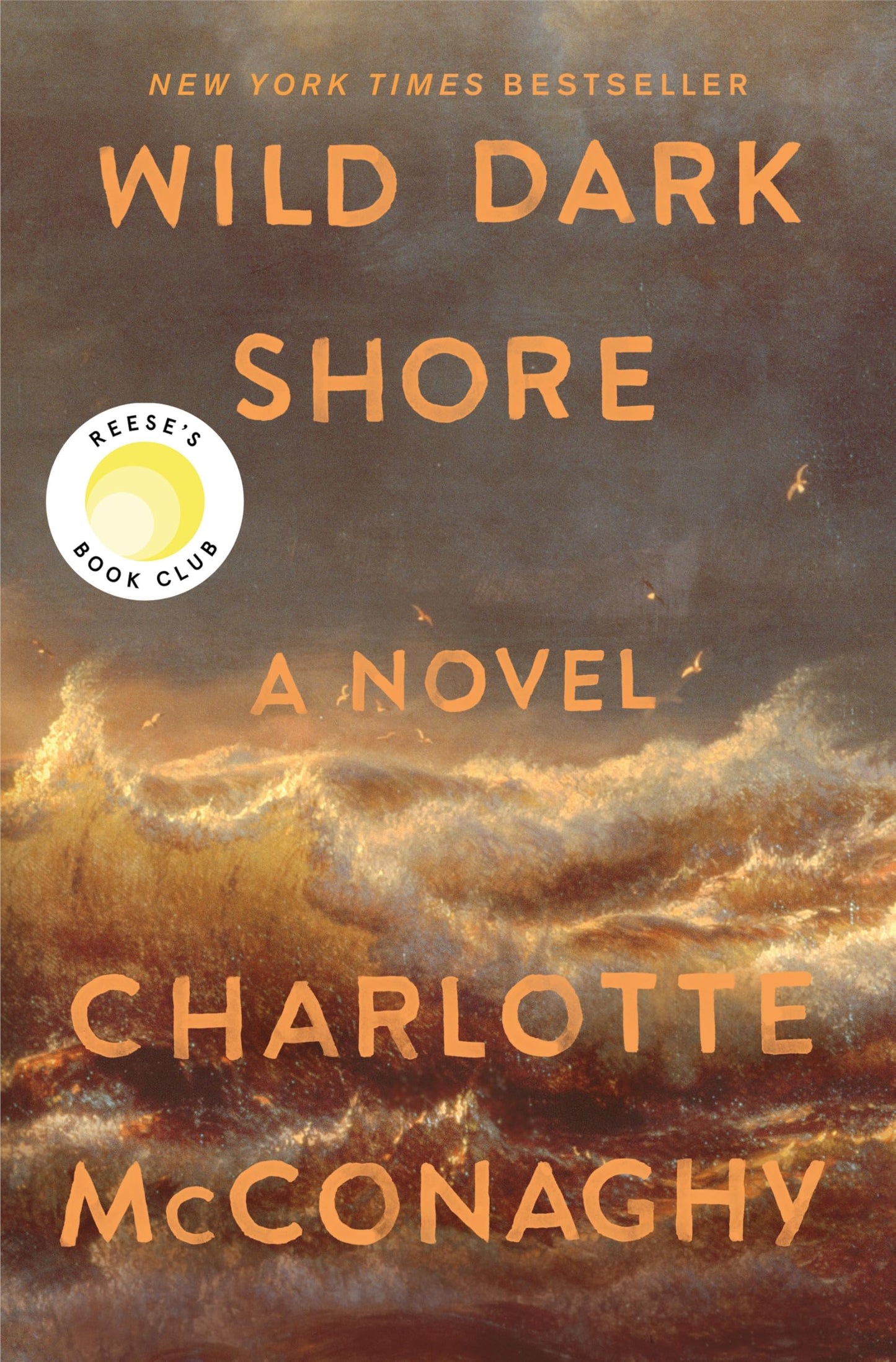 Wild Dark Shore: A Novel book cover