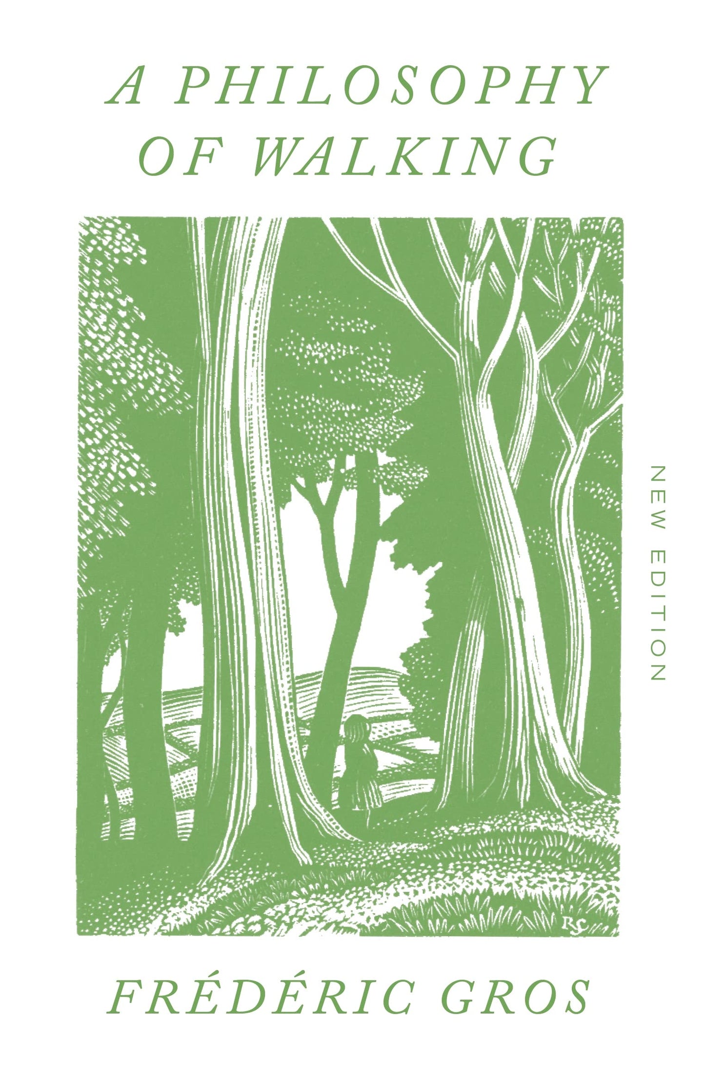 Philosophy of Walking book cover