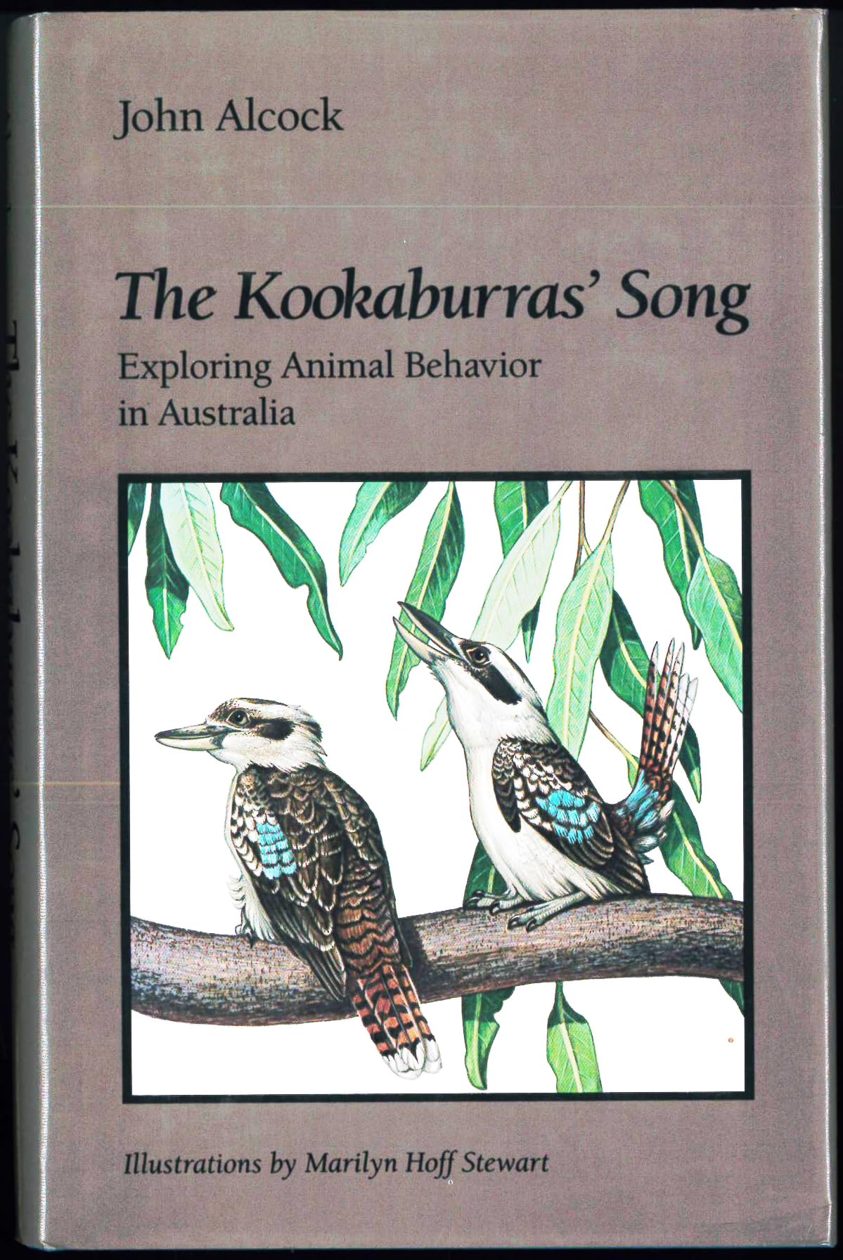 Kookaburras' Song: Exploring Animal Behavior in Australia book cover