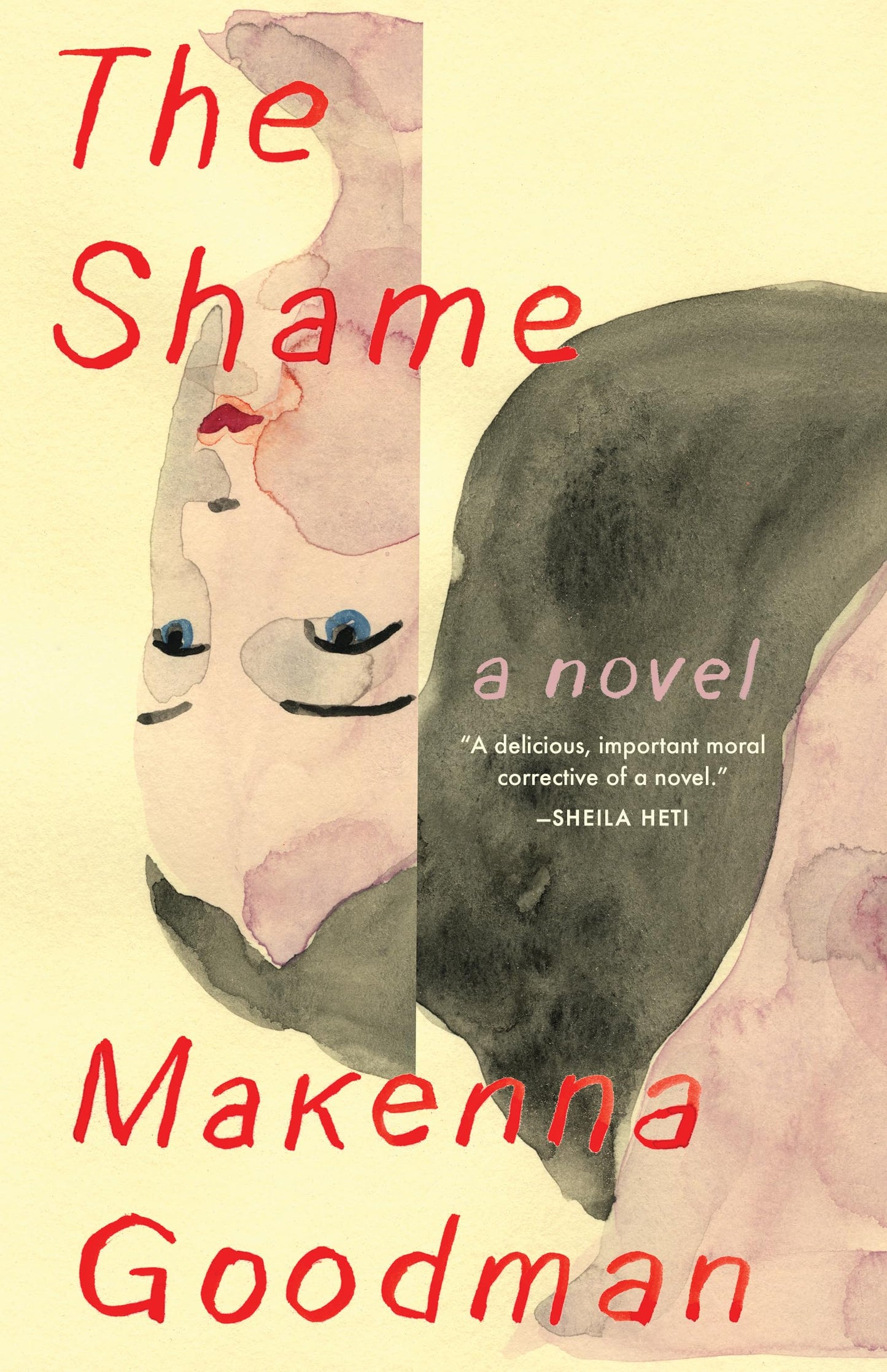 Shame book cover