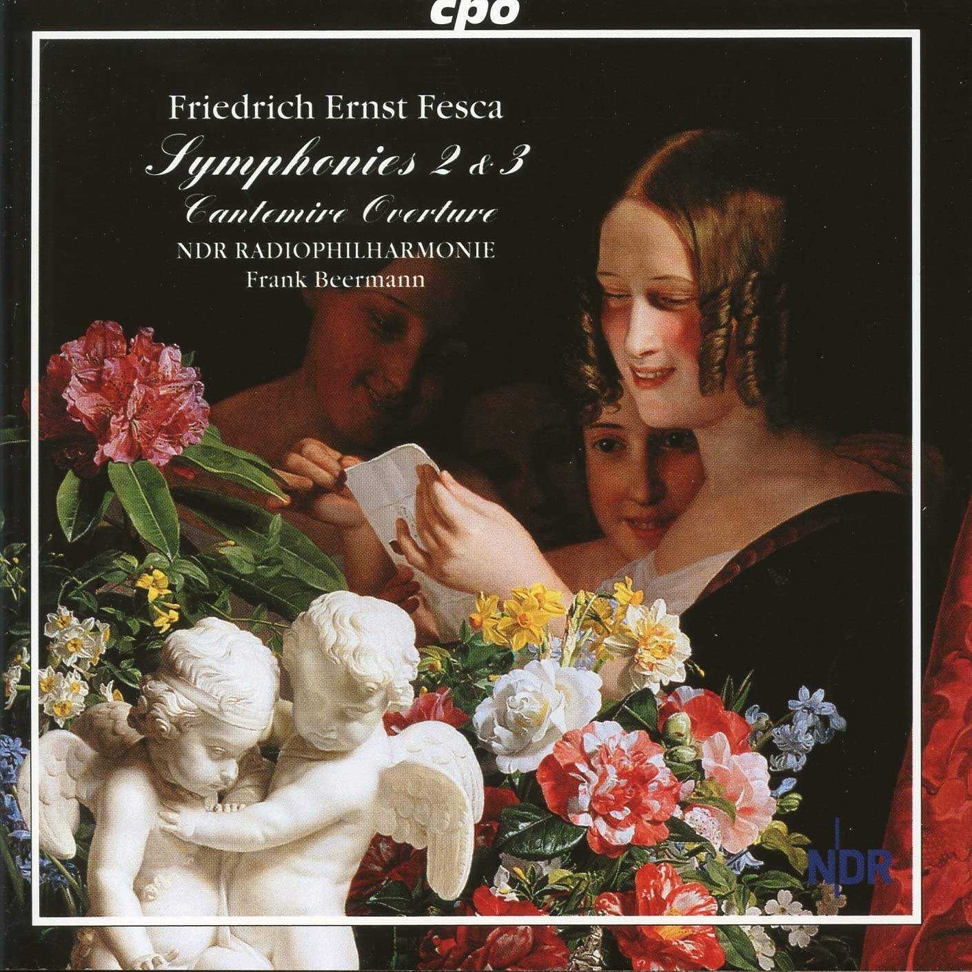 Symphonies 2 & 3 book cover