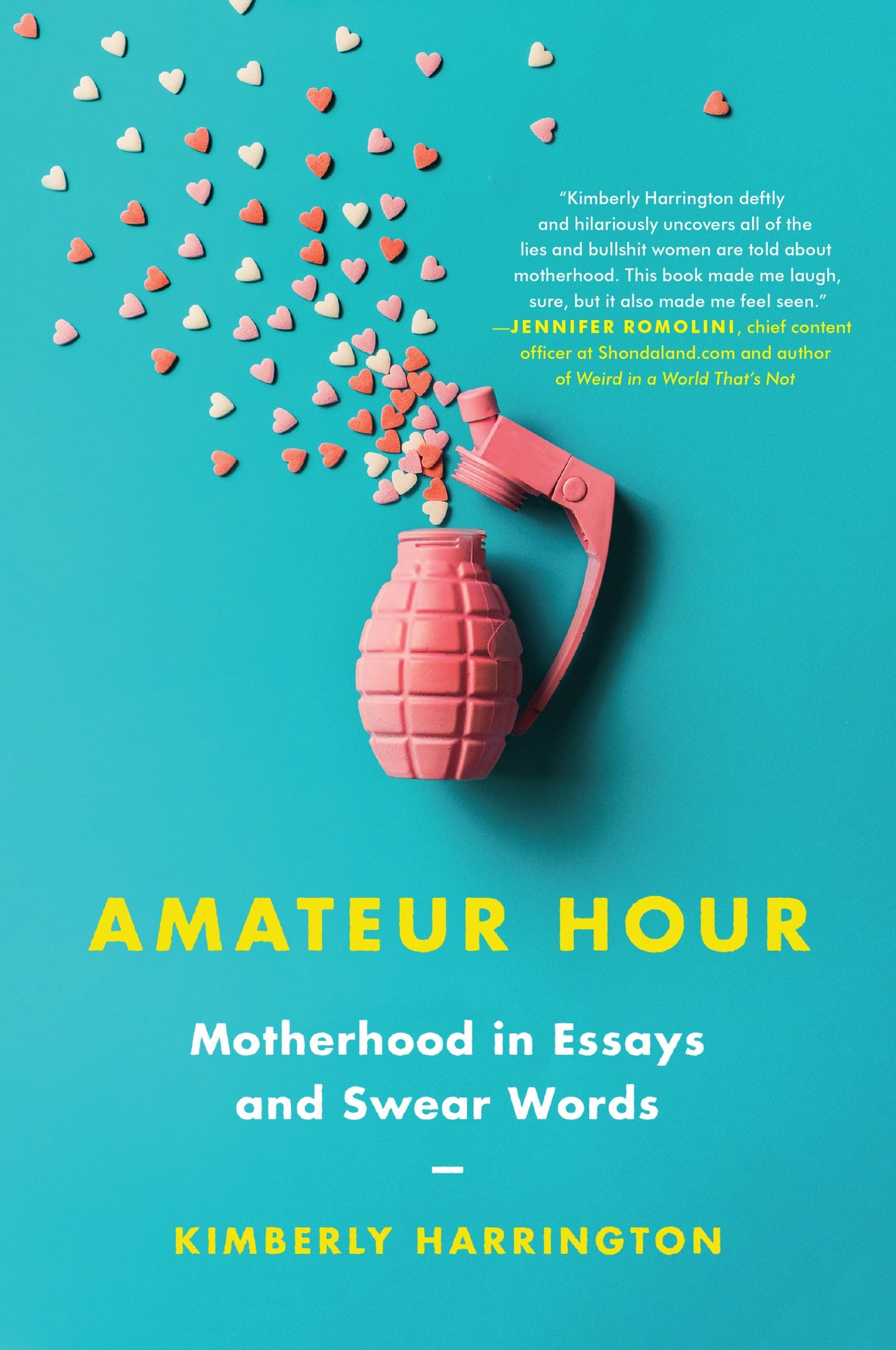Amateur Hour: Motherhood in Essays and Swear Words book cover
