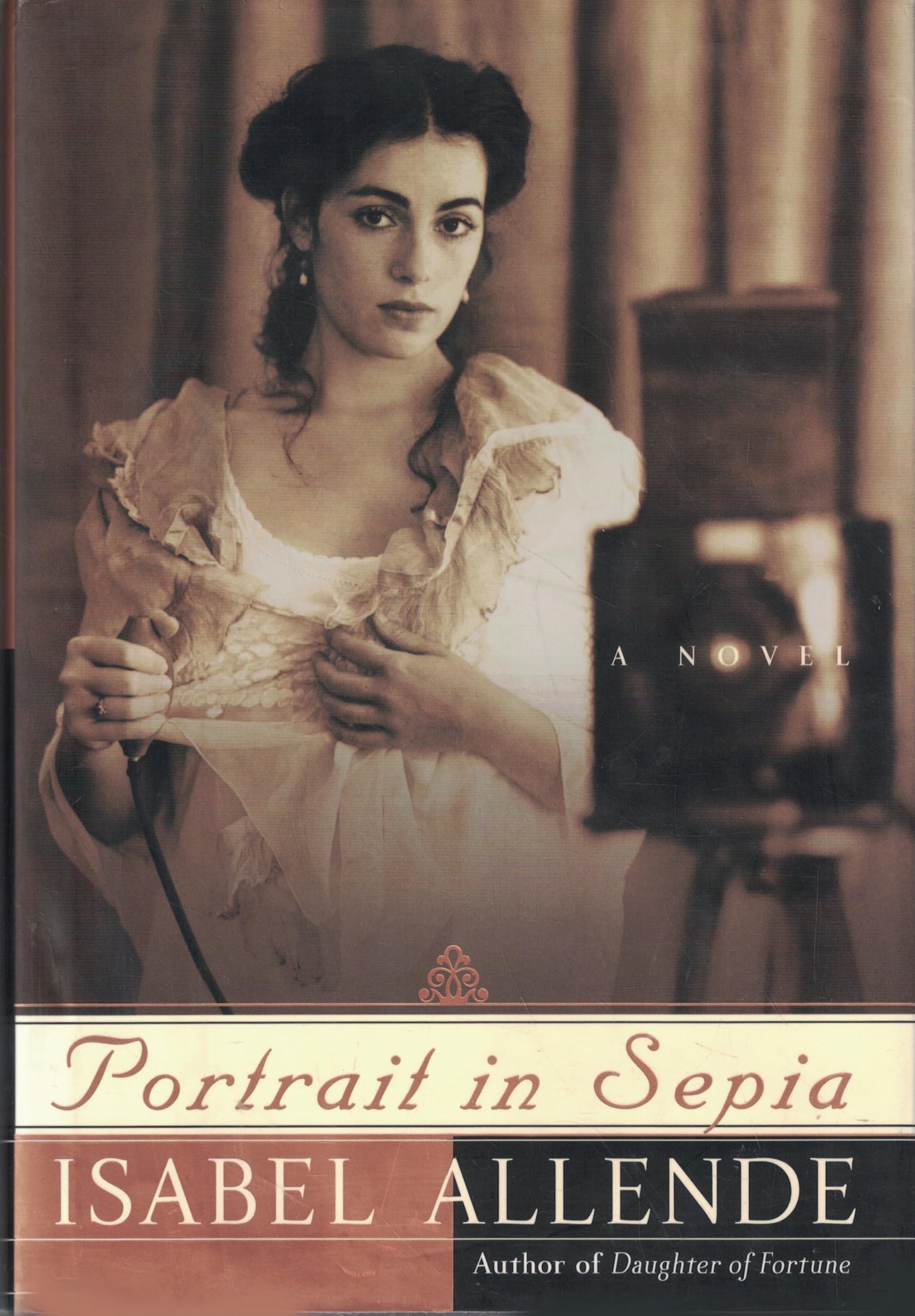 Portrait in Sepia book cover