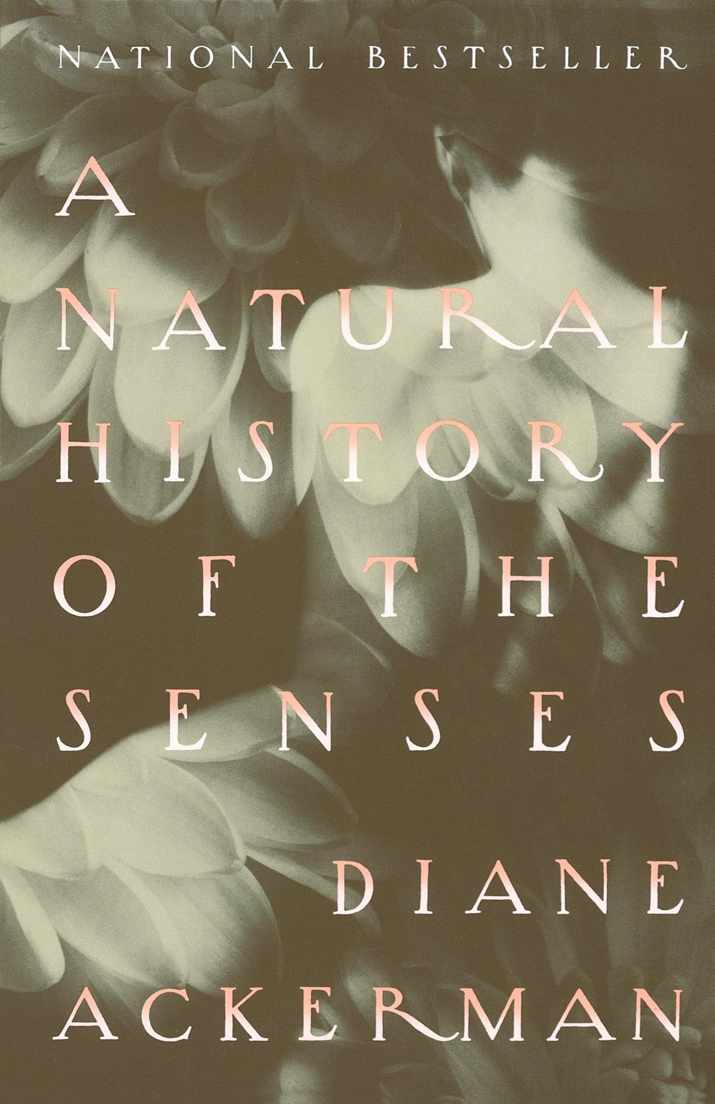 Natural History of the Senses book cover