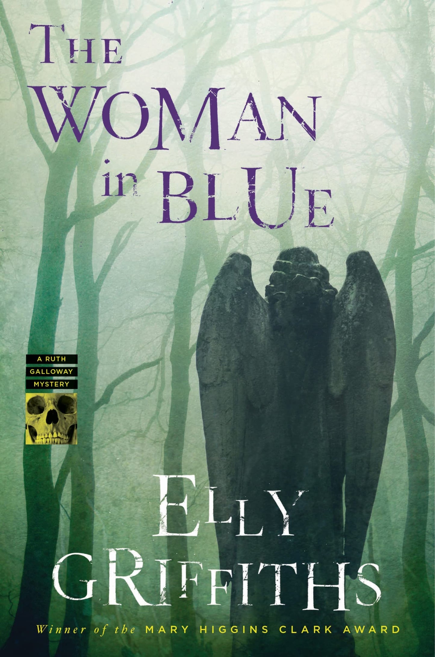 Woman in Blue book cover