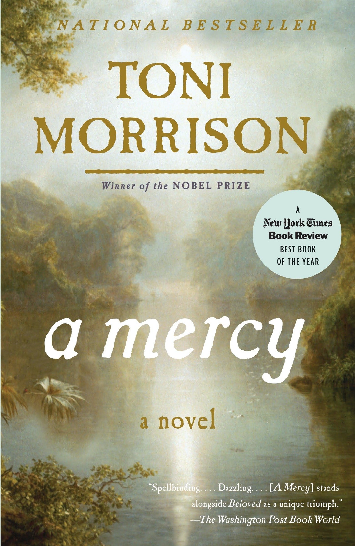 A Mercy book cover