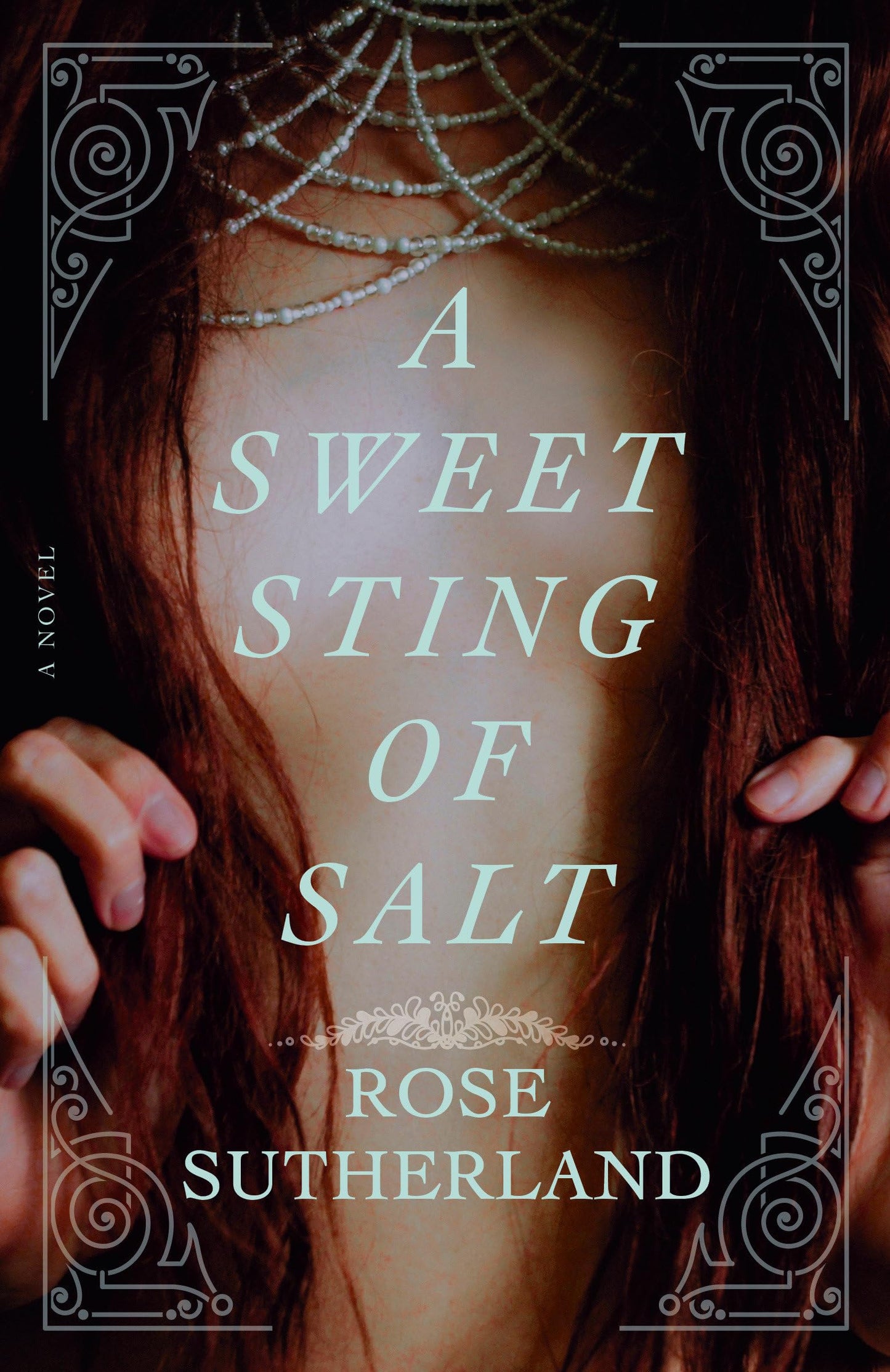 Sweet Sting of Salt book cover