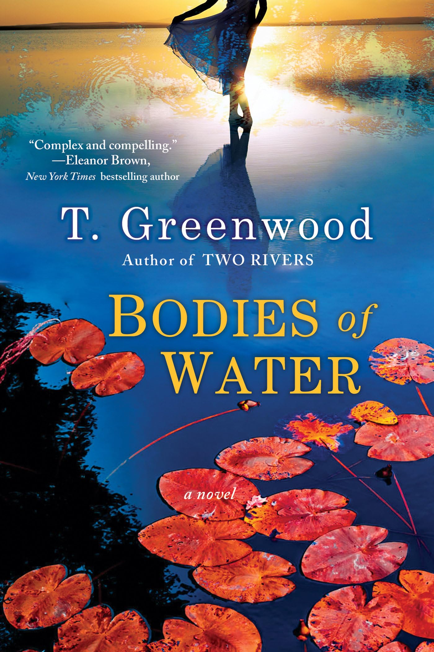 Bodies of Water book cover