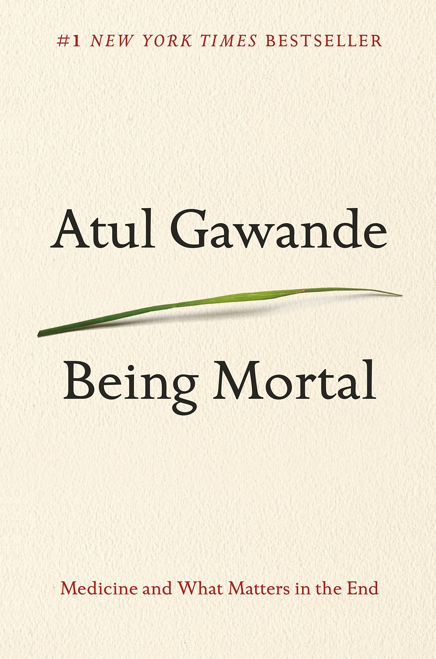 Being Mortal: Medicine and What Matters in the End book cover