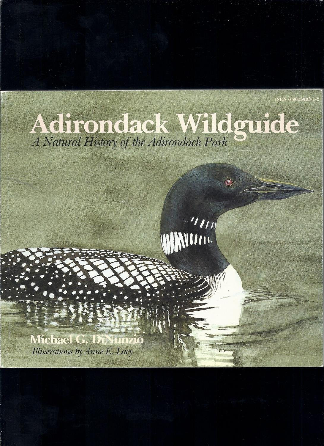 Adirondack Wildguide: A Natural History of the Adirondack Park book cover