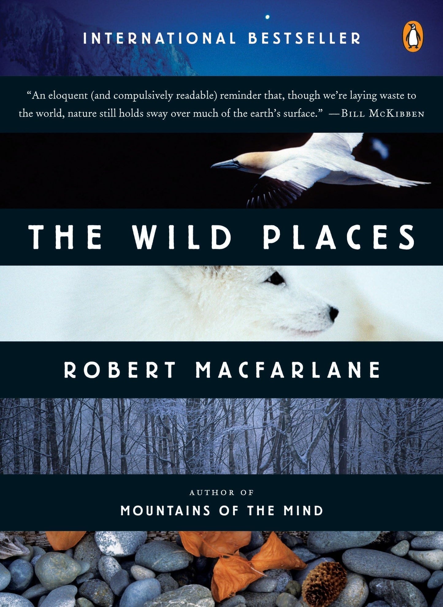 Wild Places book cover