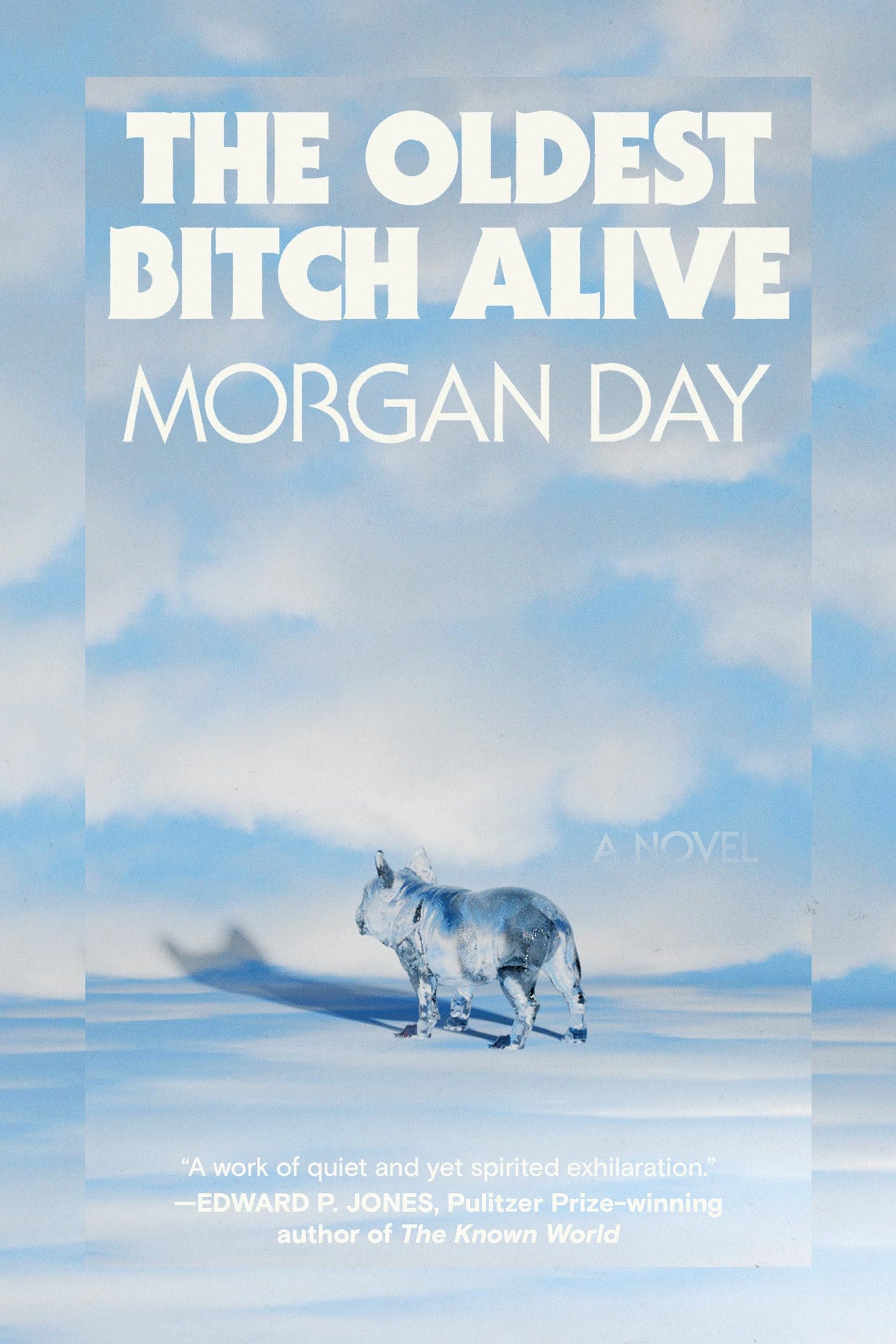 The Oldest Bitch Alive book cover