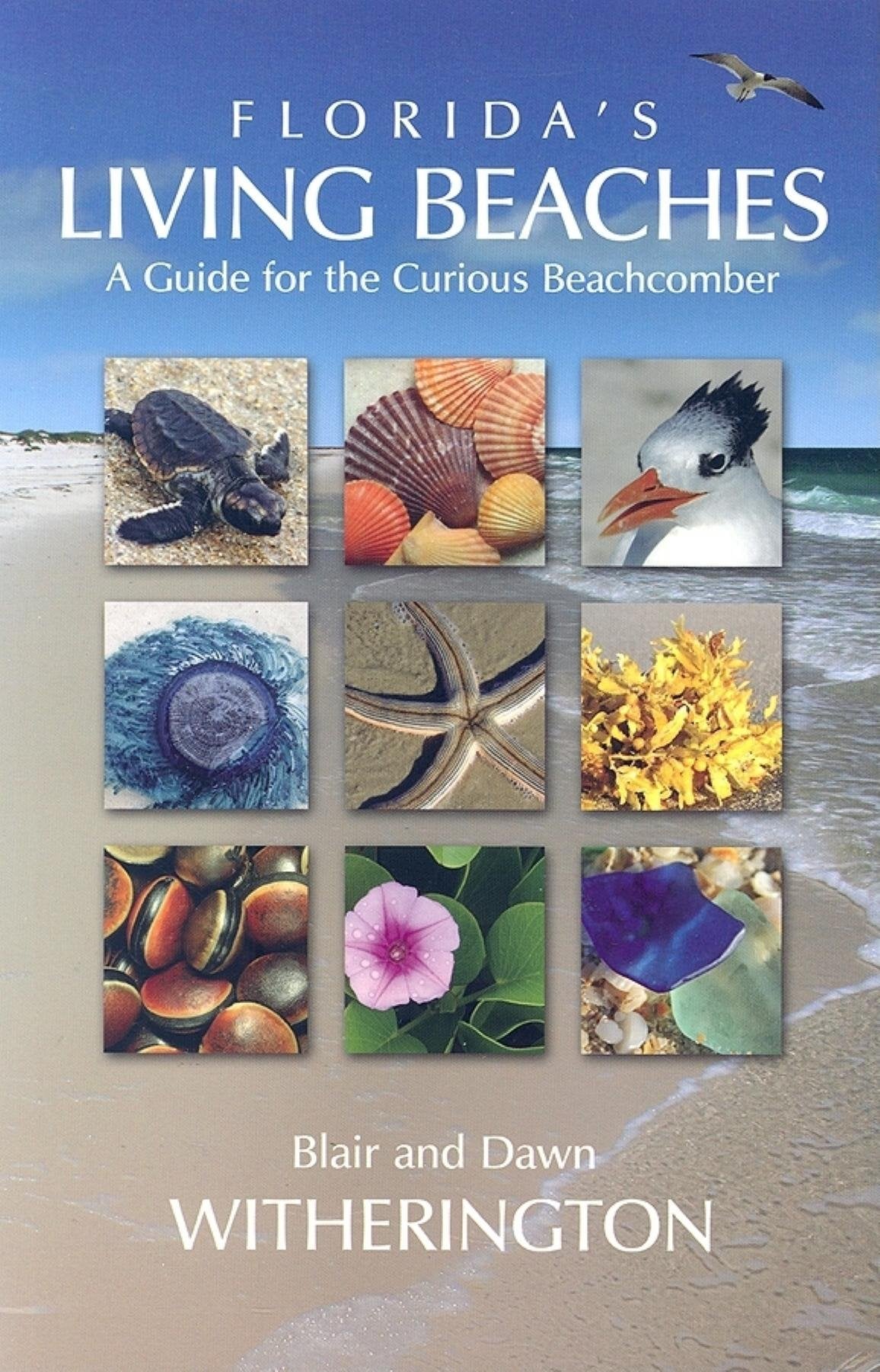 Florida's Living Beaches: A Guide for the Curious Beachcomber book cover