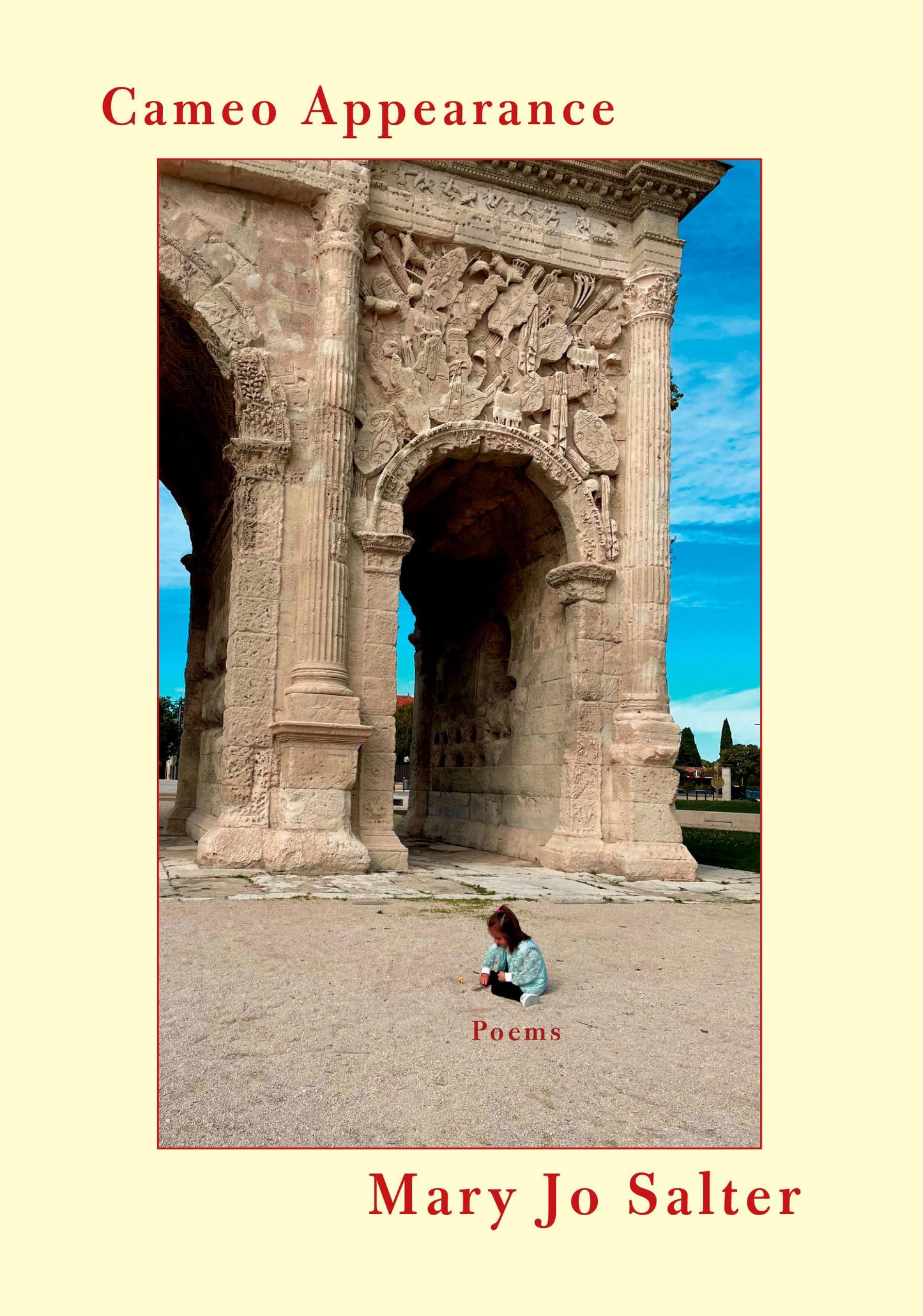 Cameo Appearance book cover