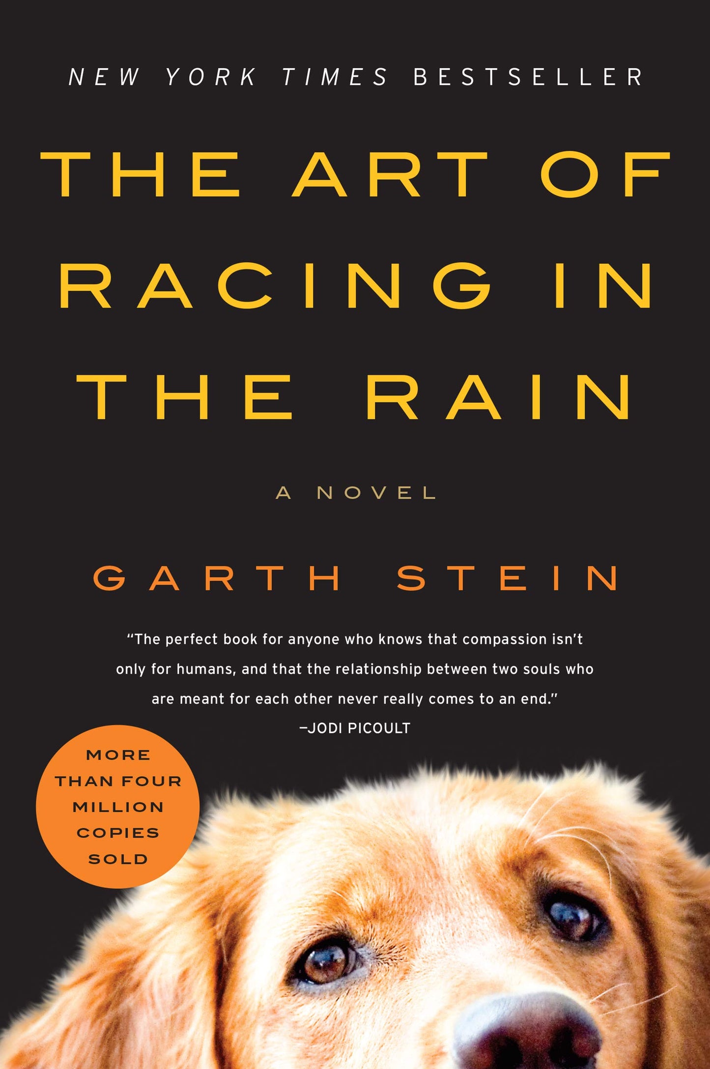 The Art of Racing in the Rain book cover