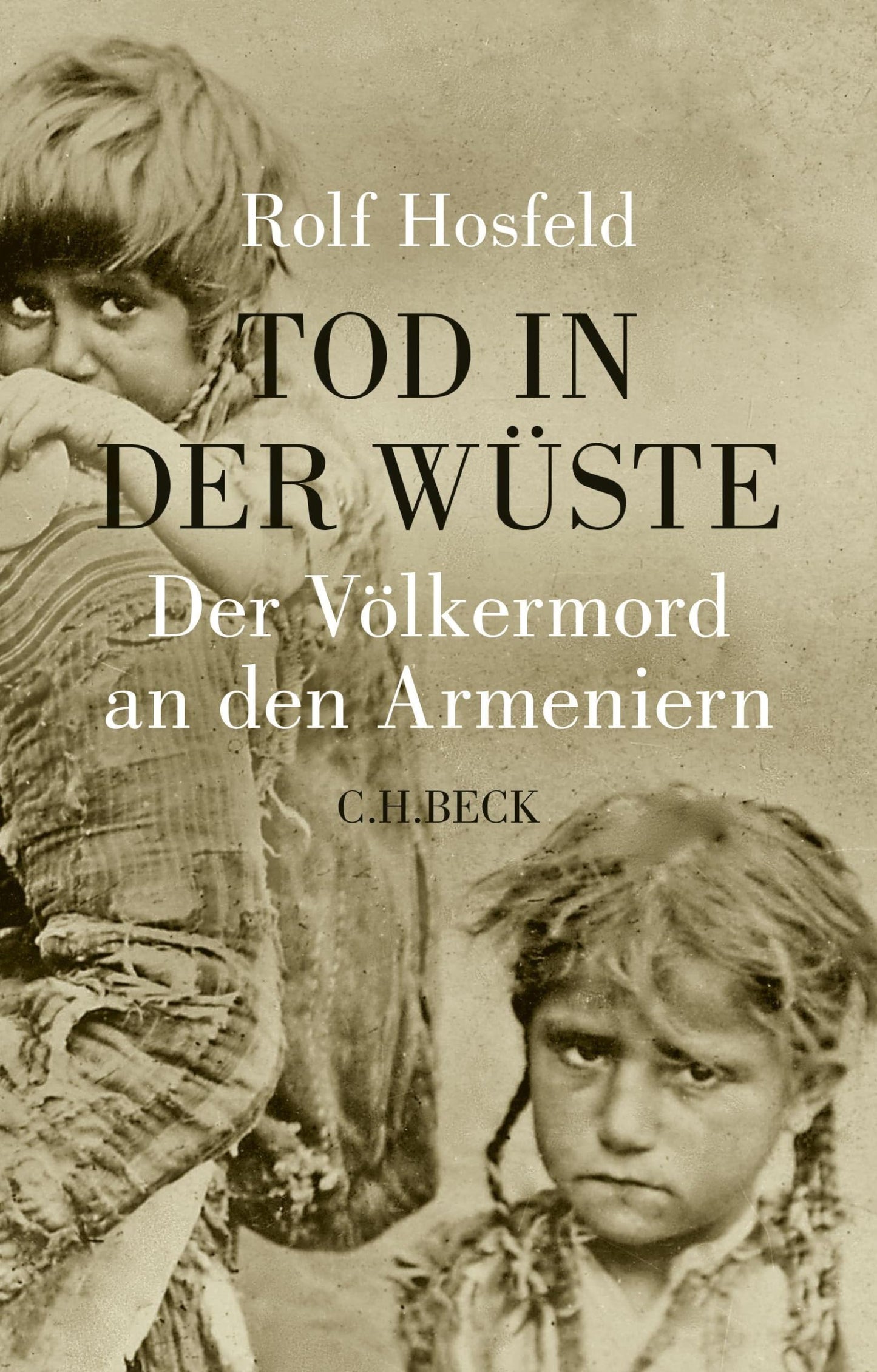 Tod in der Wuste (German Edition) book cover