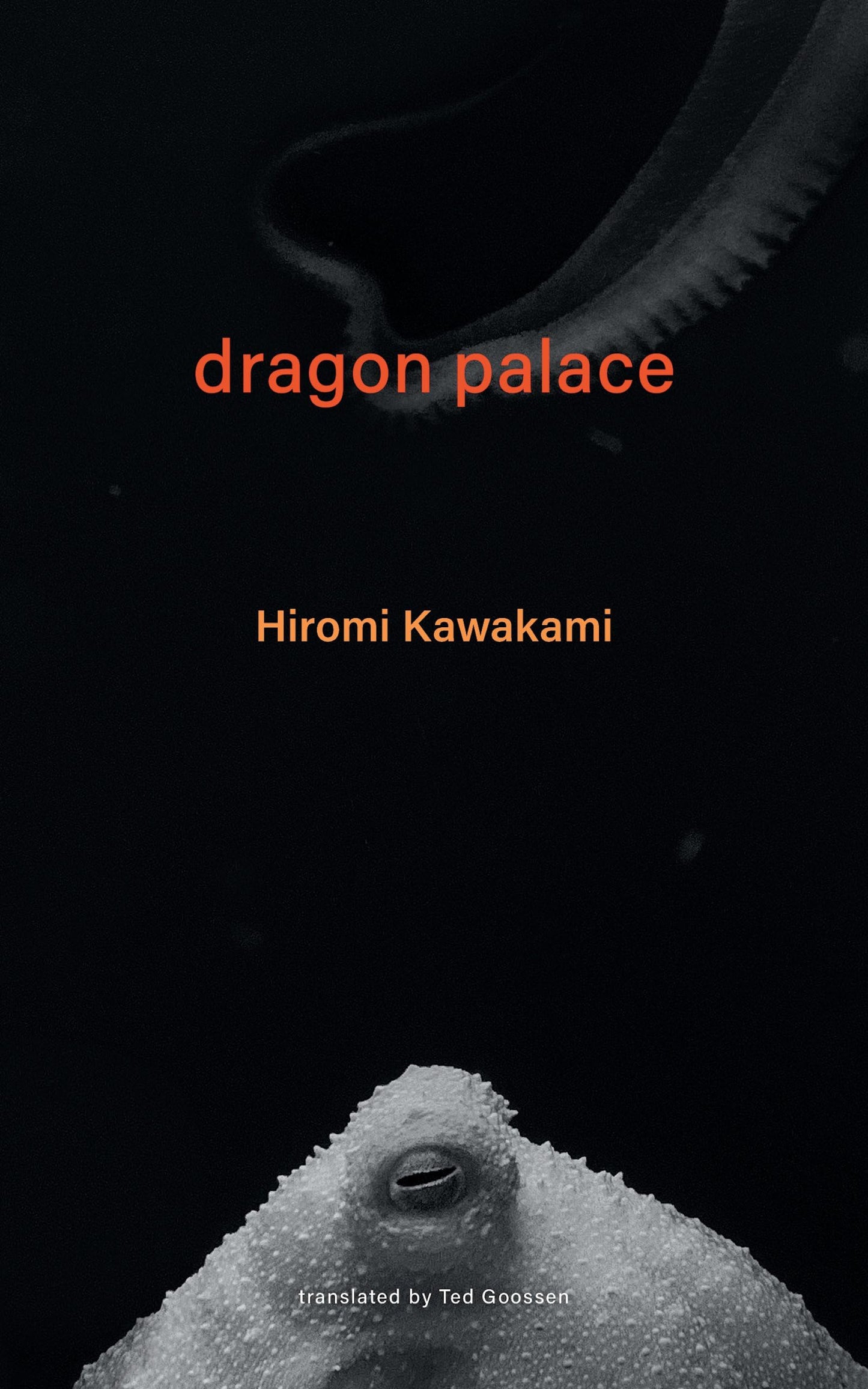 Dragon Palace book cover