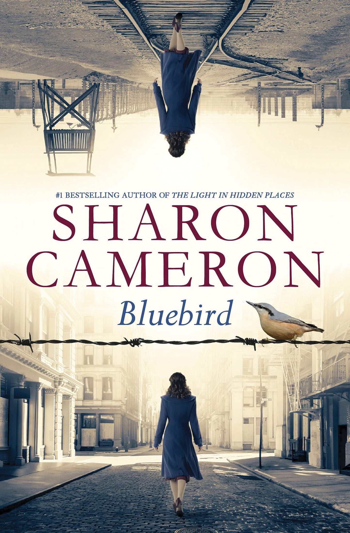 Bluebird book cover