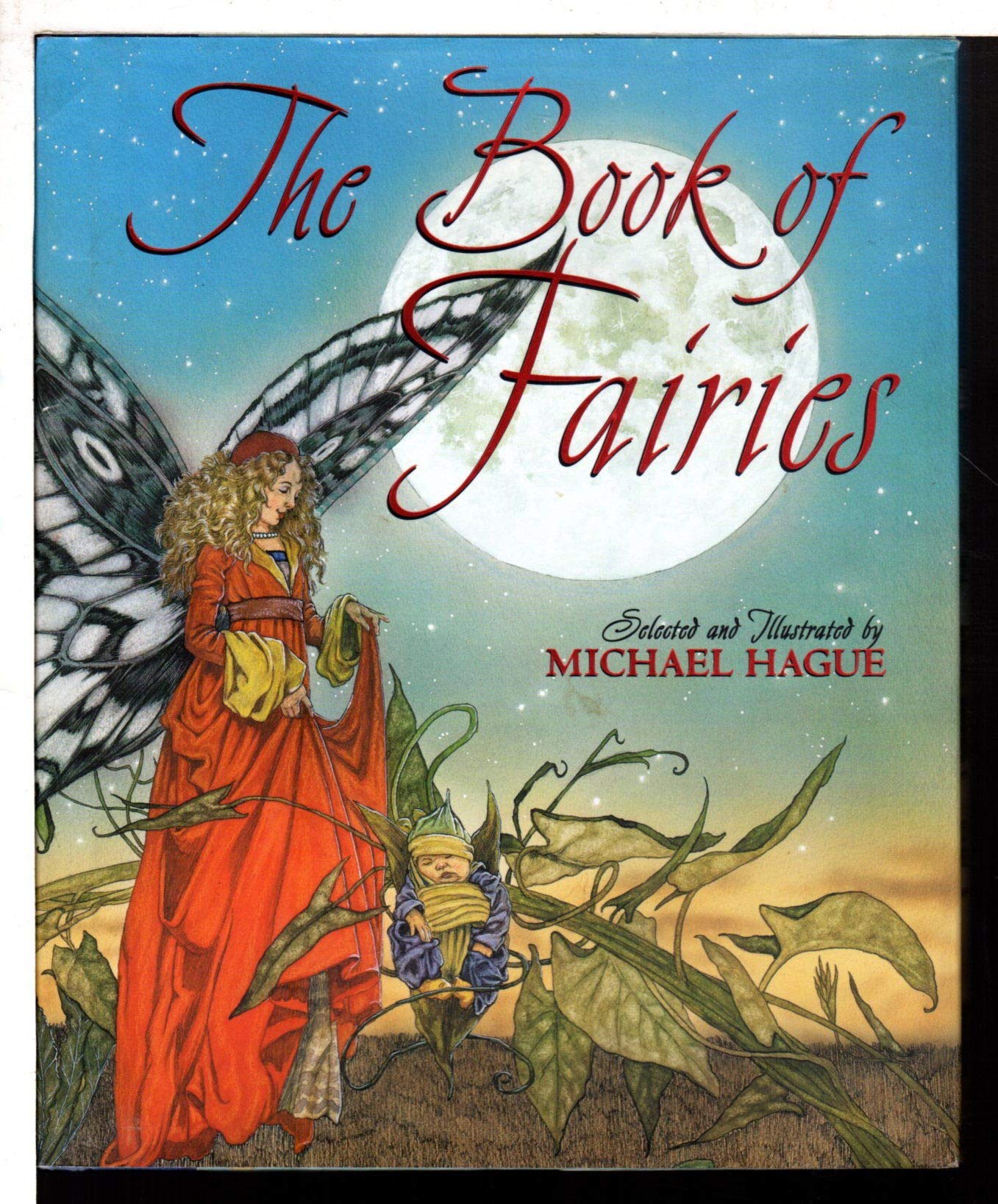 Book of Fairies book cover