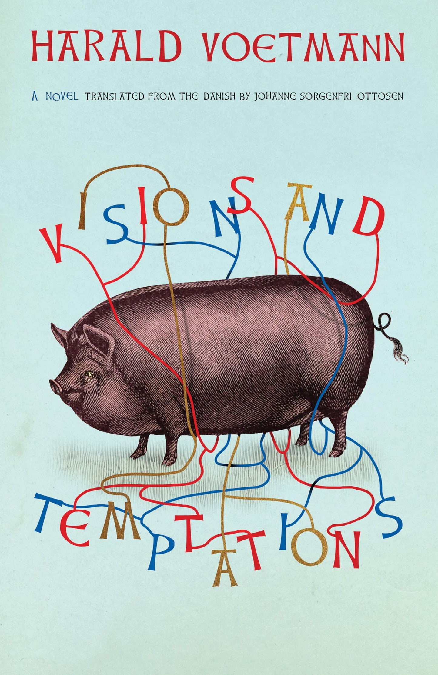 Visions and Temptations book cover