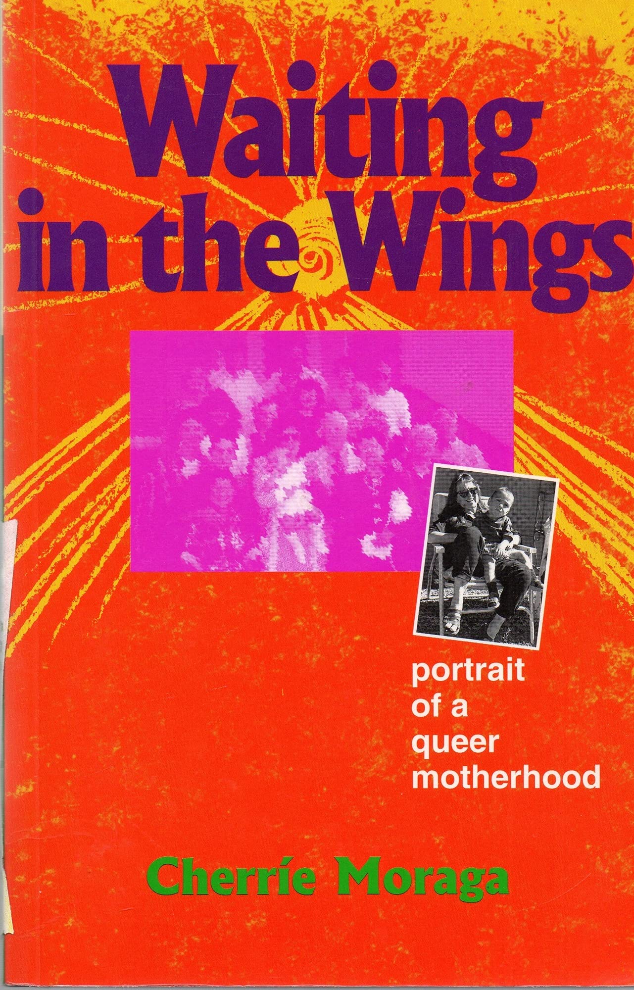 Waiting in the Wings: Portrait of a Queer Motherhood book cover