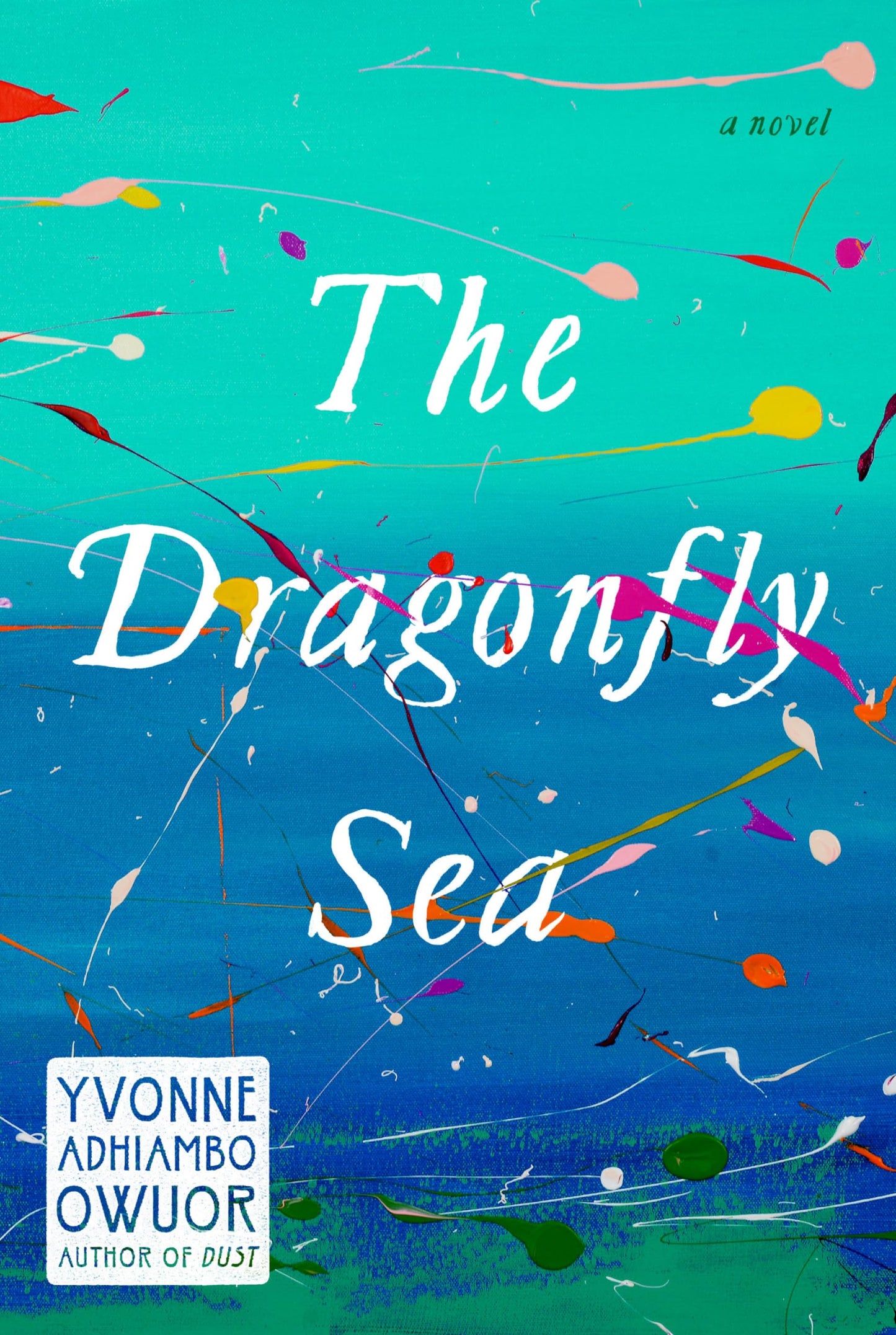 Dragonfly Sea book cover