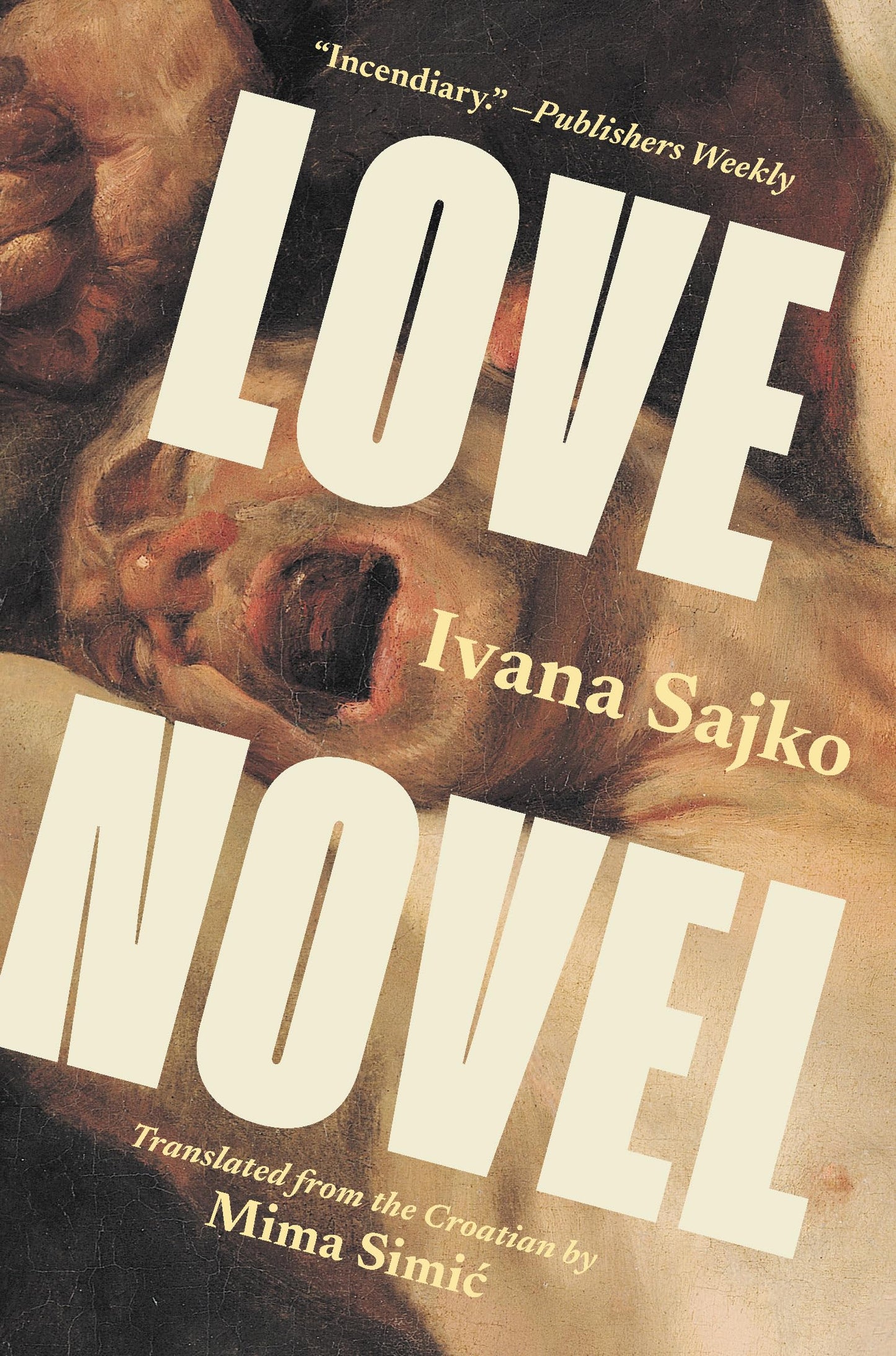 Love Novel book cover