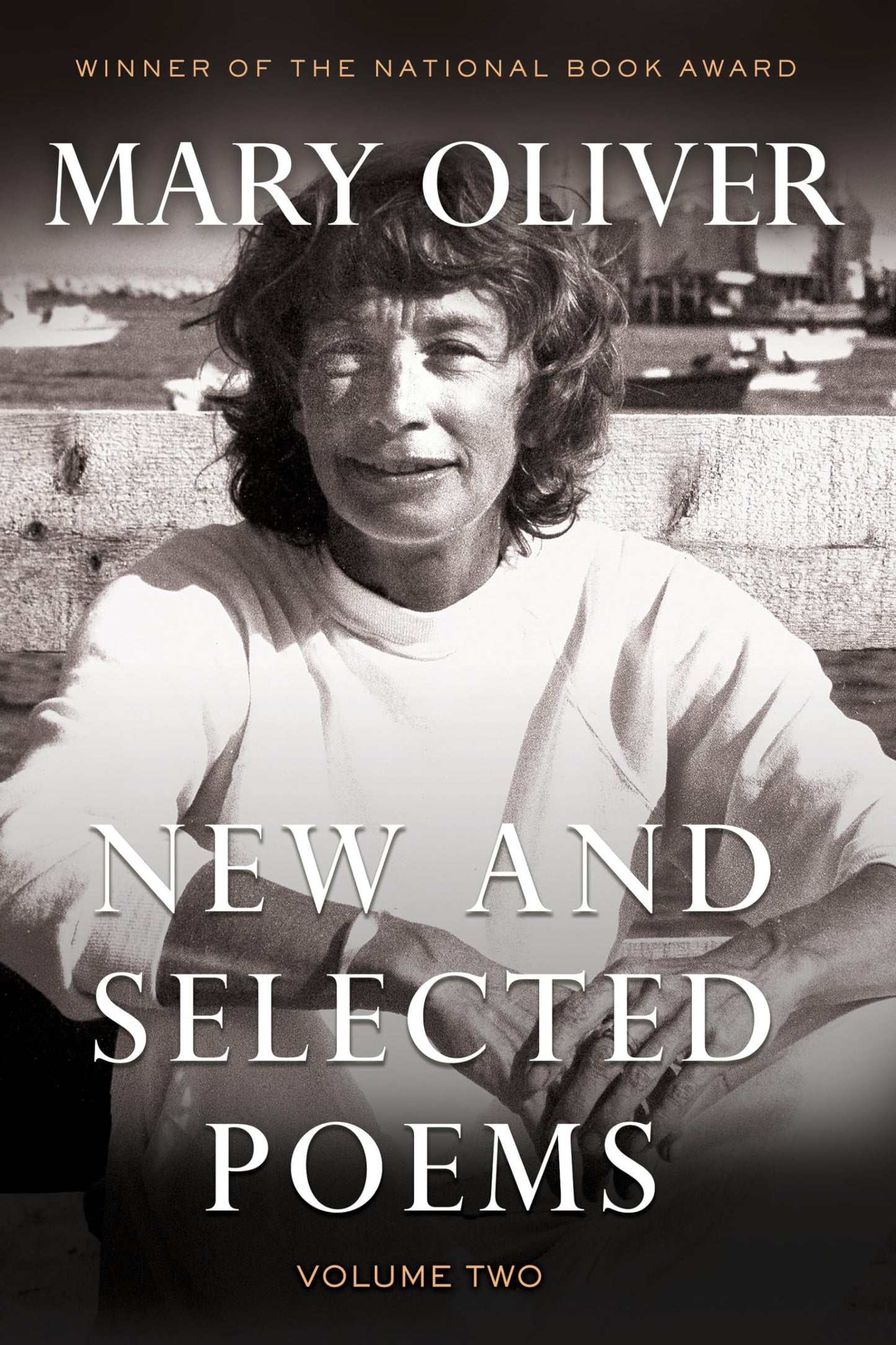 New and Selected Poems, Volume 2 book cover