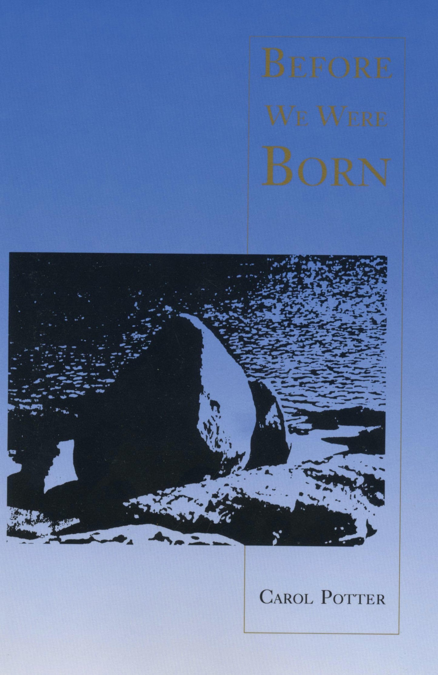 Before We Were Born book cover