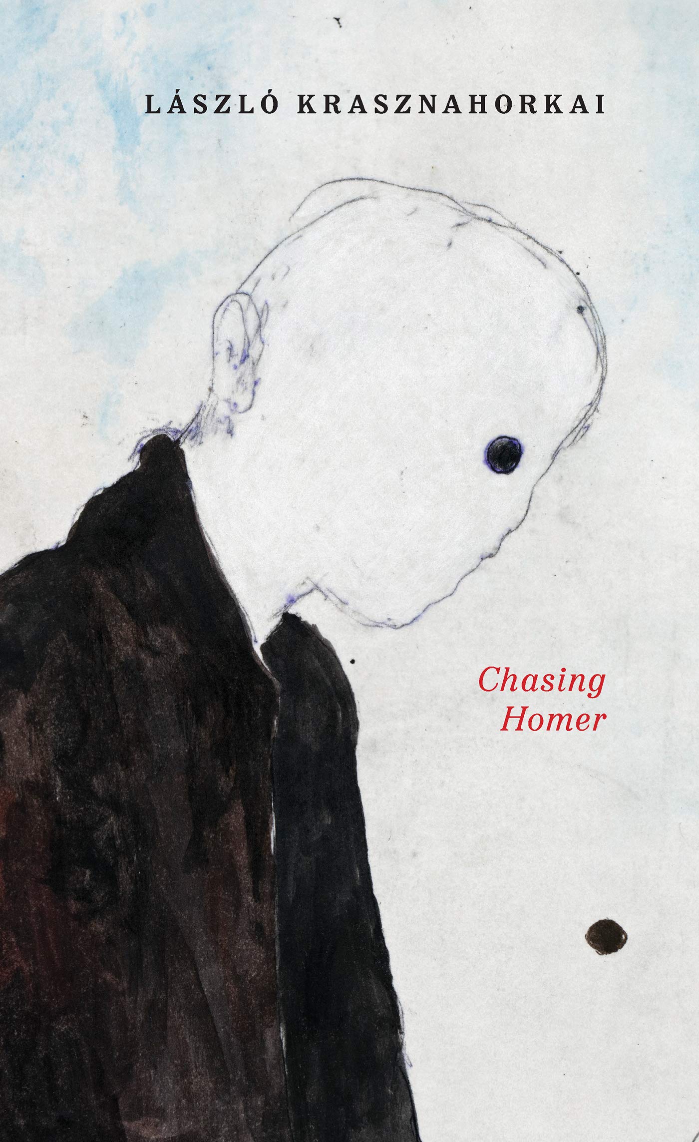 Chasing Homer book cover