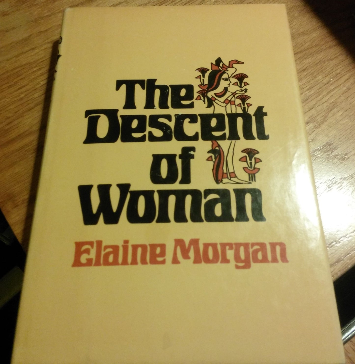 The Descent of Woman book cover