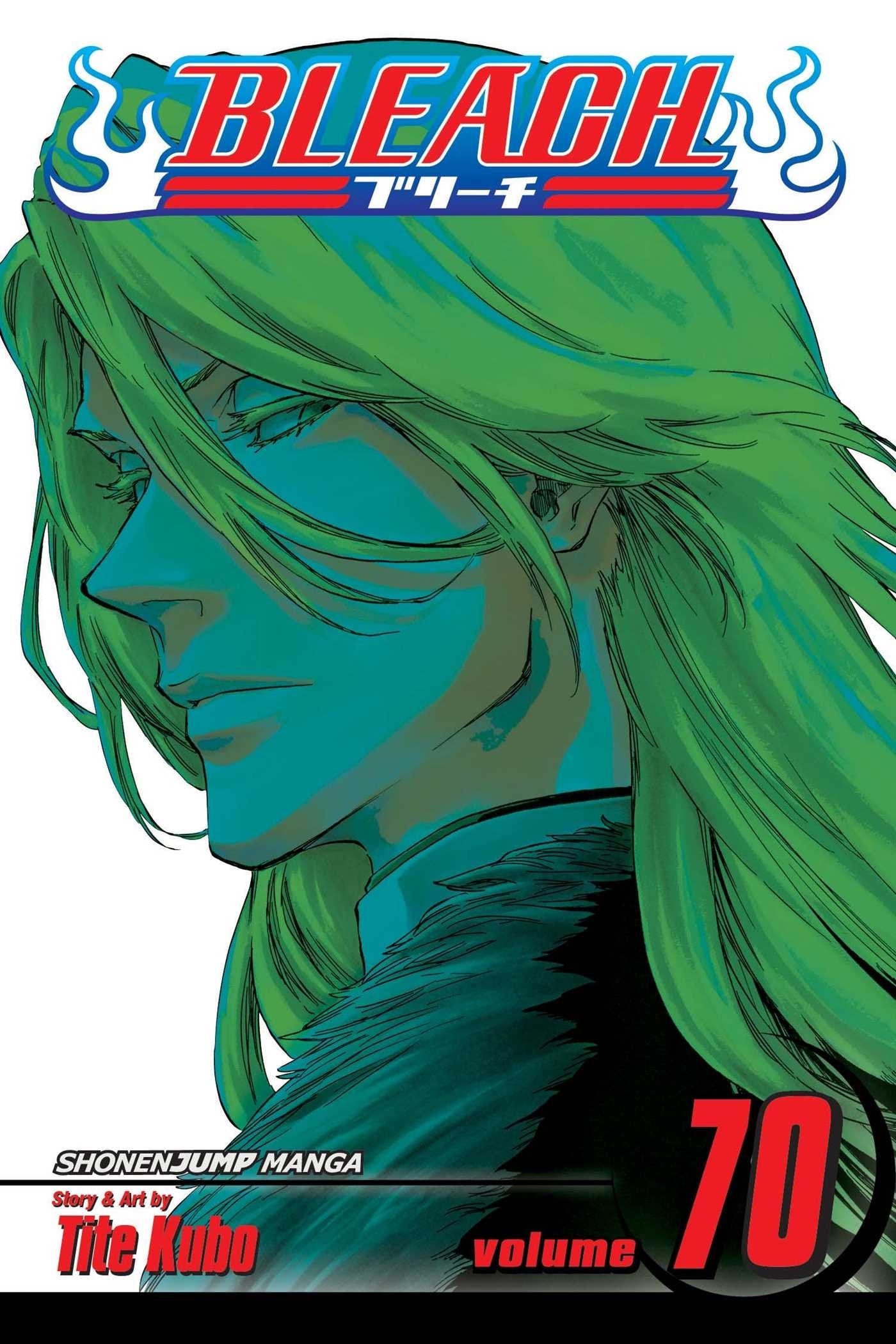 Bleach, Vol. 70 (70) book cover
