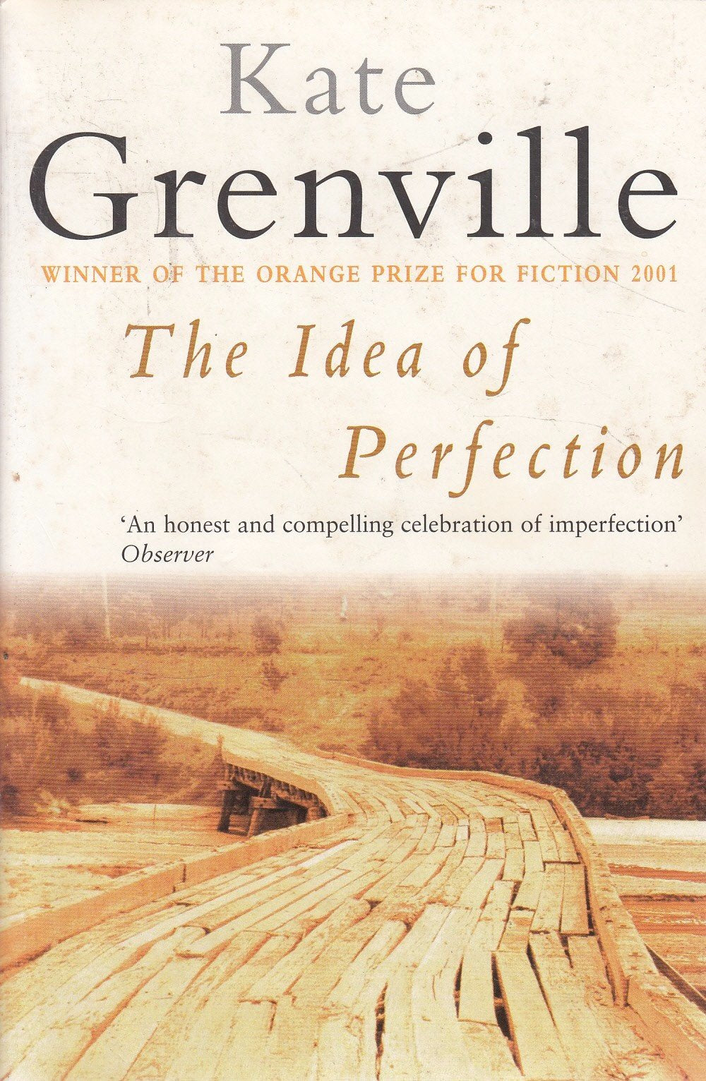 Idea of Perfection book cover