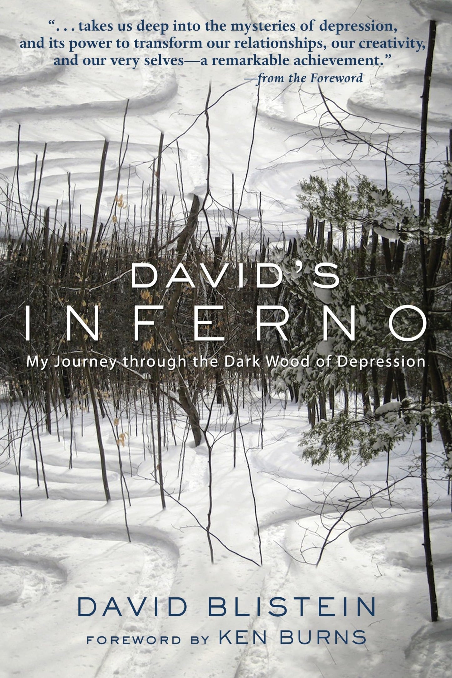 David's Inferno: My Journey Through the Dark Wood of Depression book cover