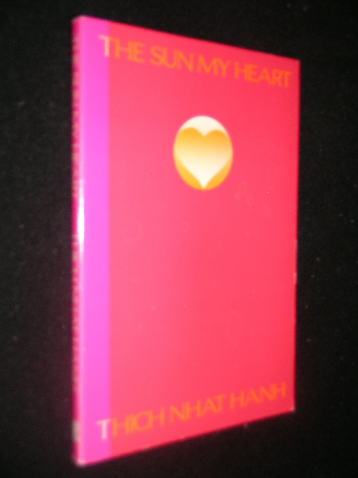 Sun My Heart book cover