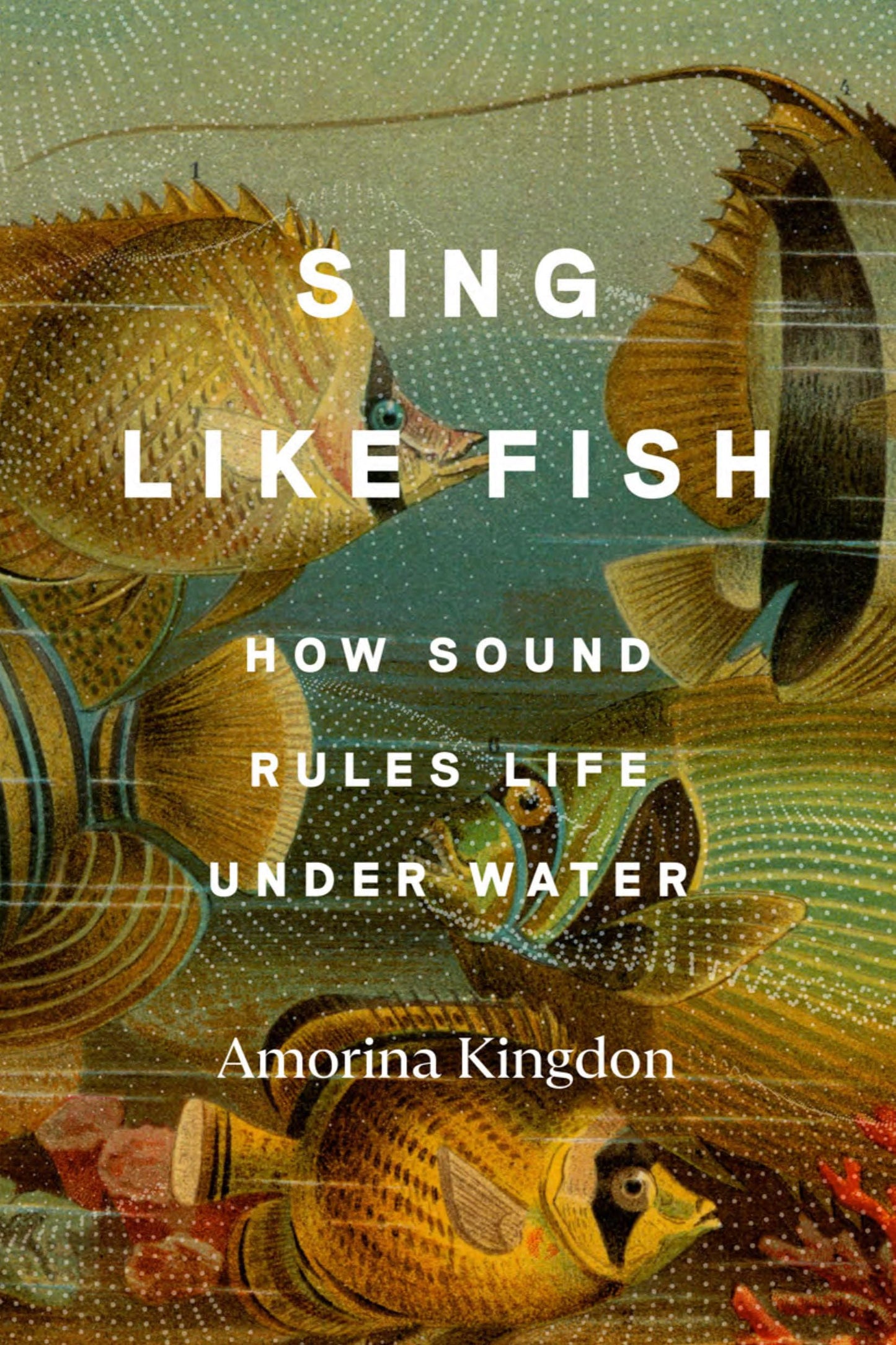 Sing Like Fish: How Sound Rules Life Under Water book cover
