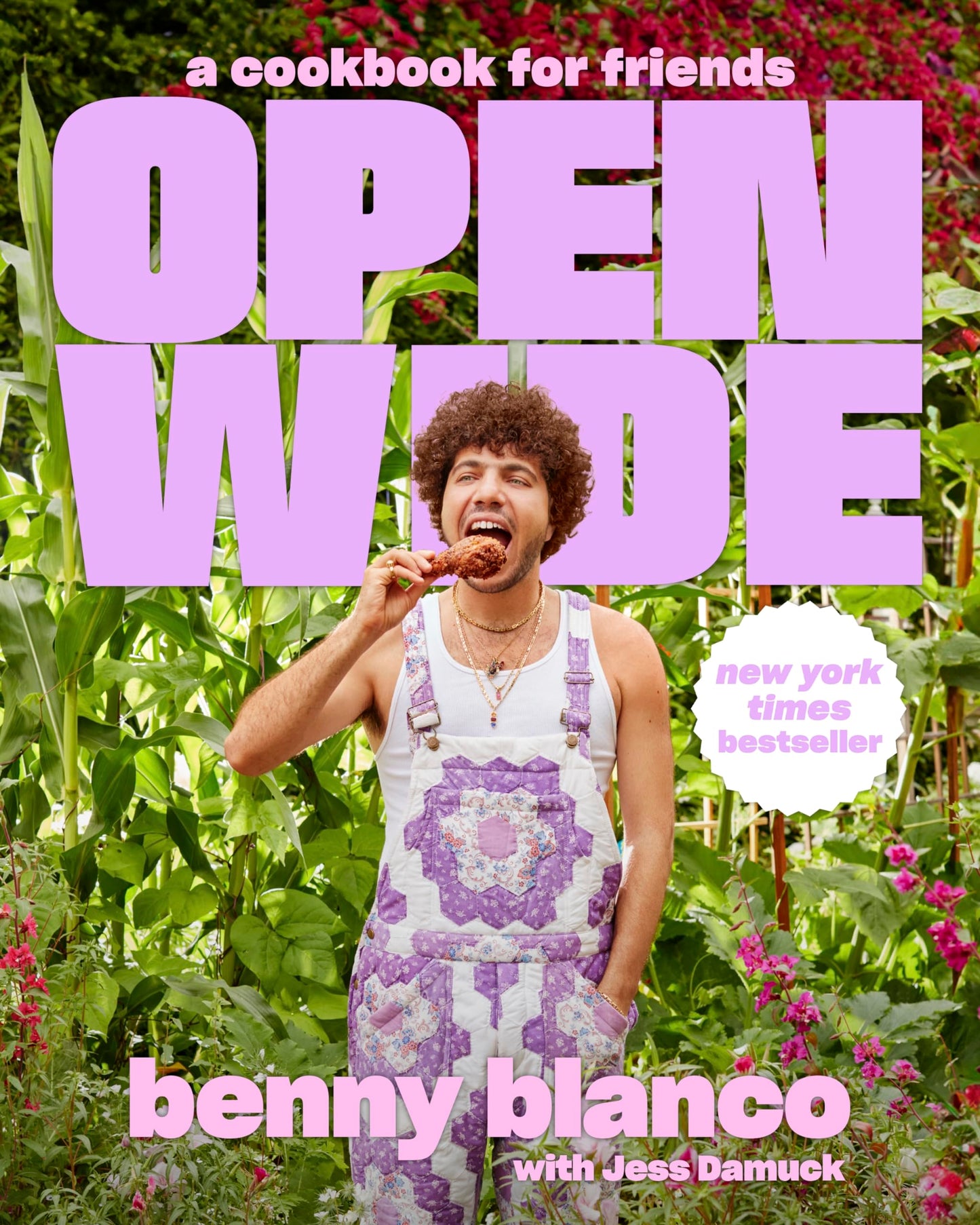 Open Wide: A Cookbook for Friends book cover