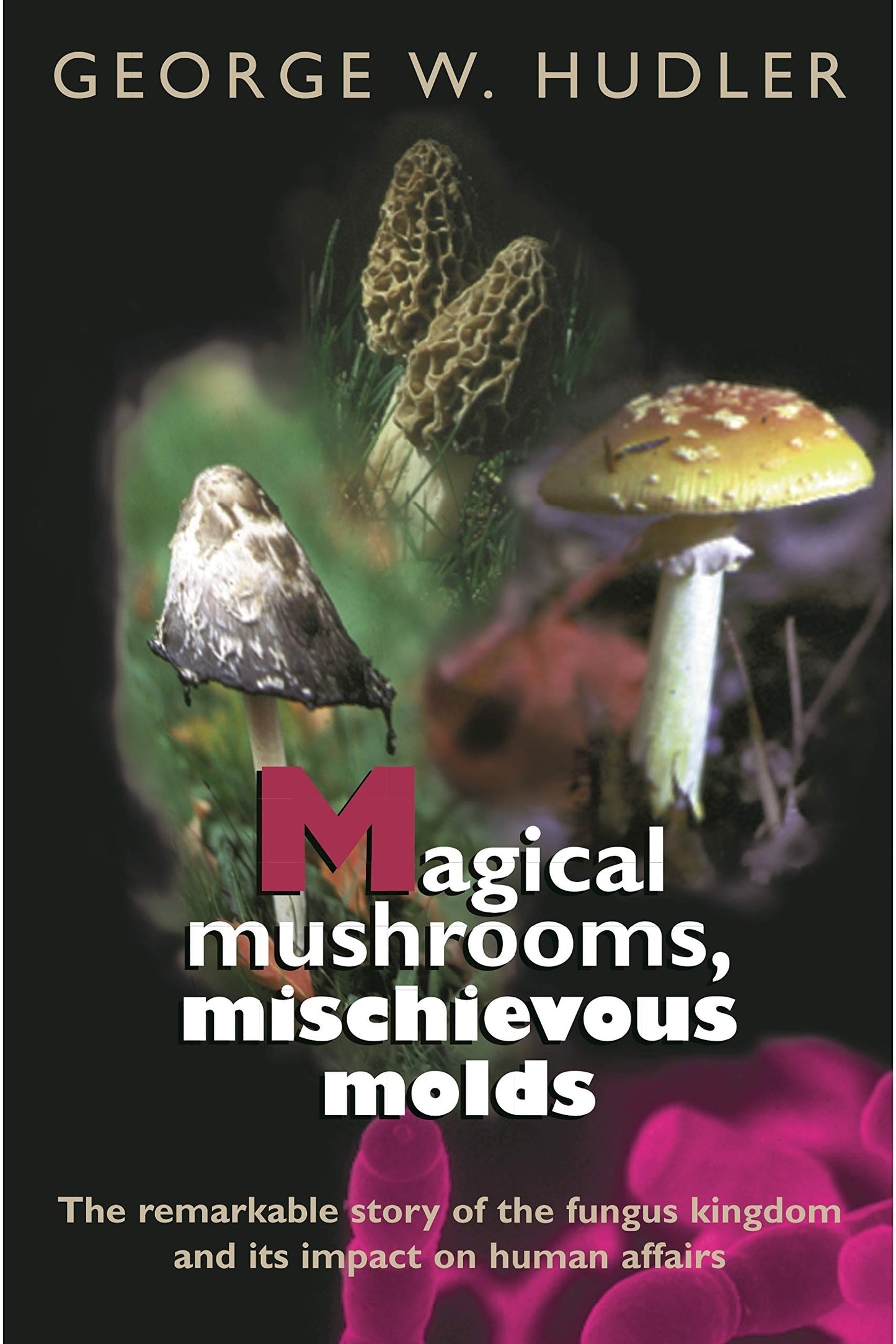 Magical Mushrooms, Michievous Molds book cover