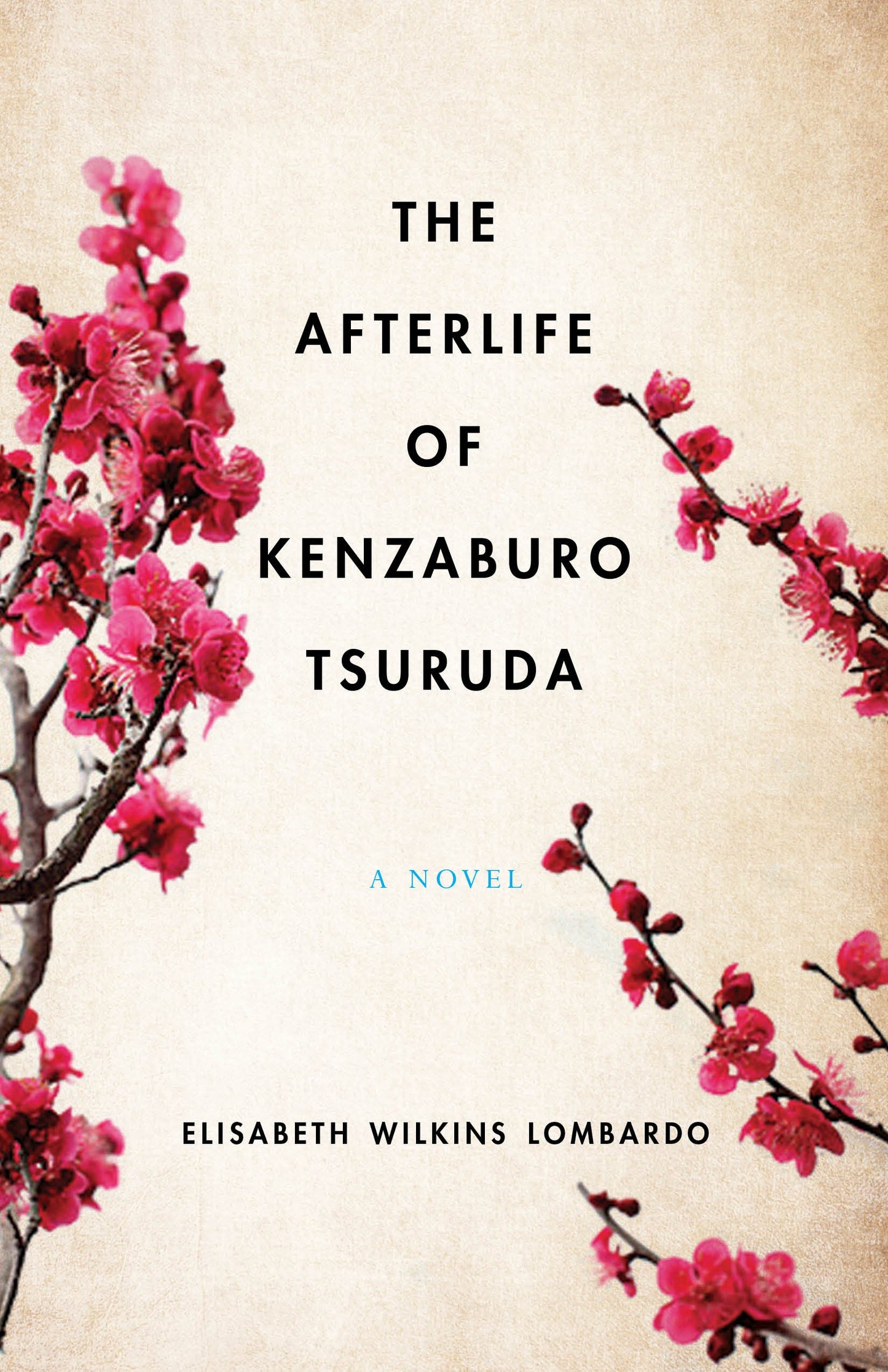 Afterlife of Kenzaburo Tsuruda book cover