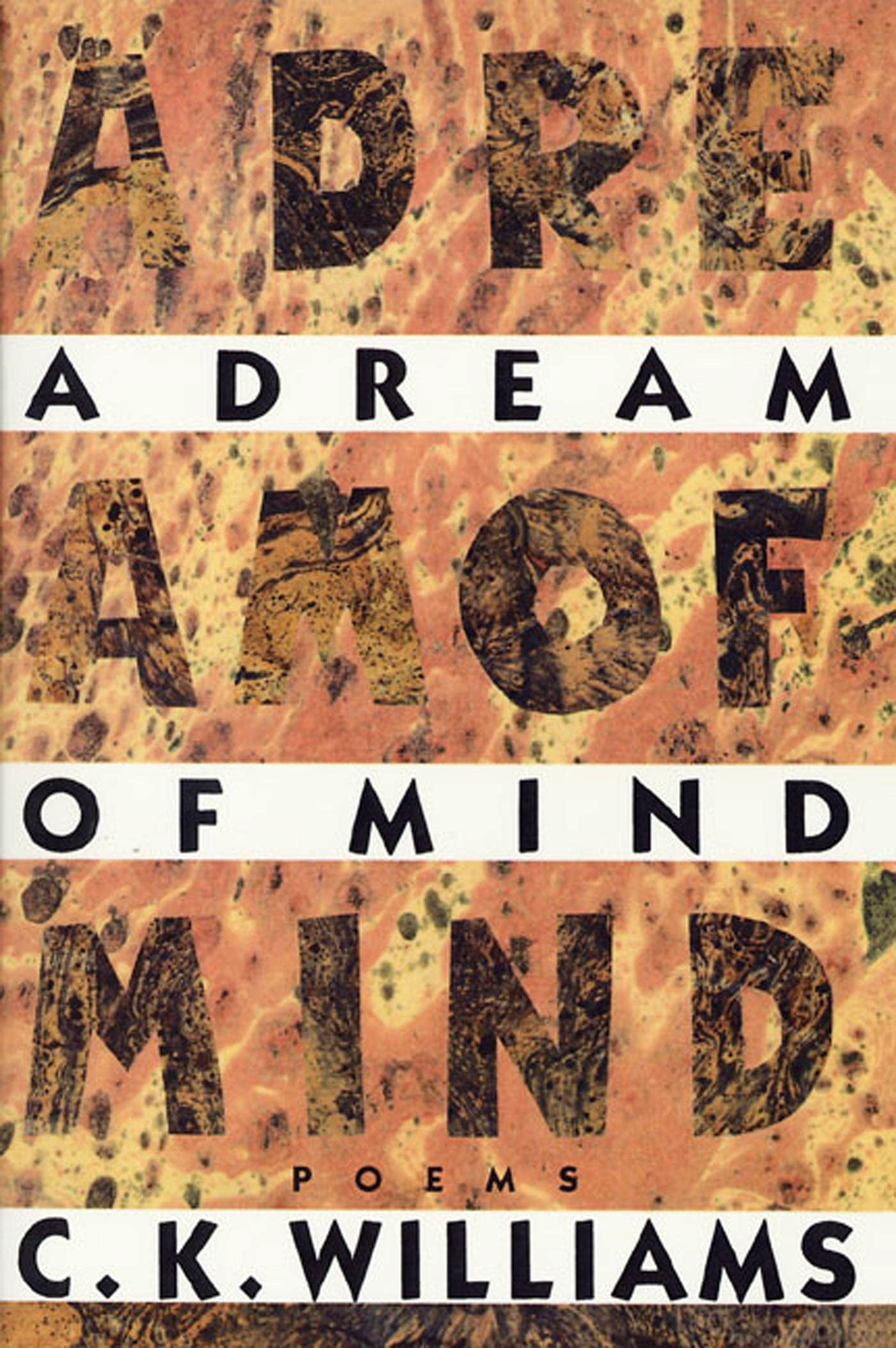 Dream of Mind book cover