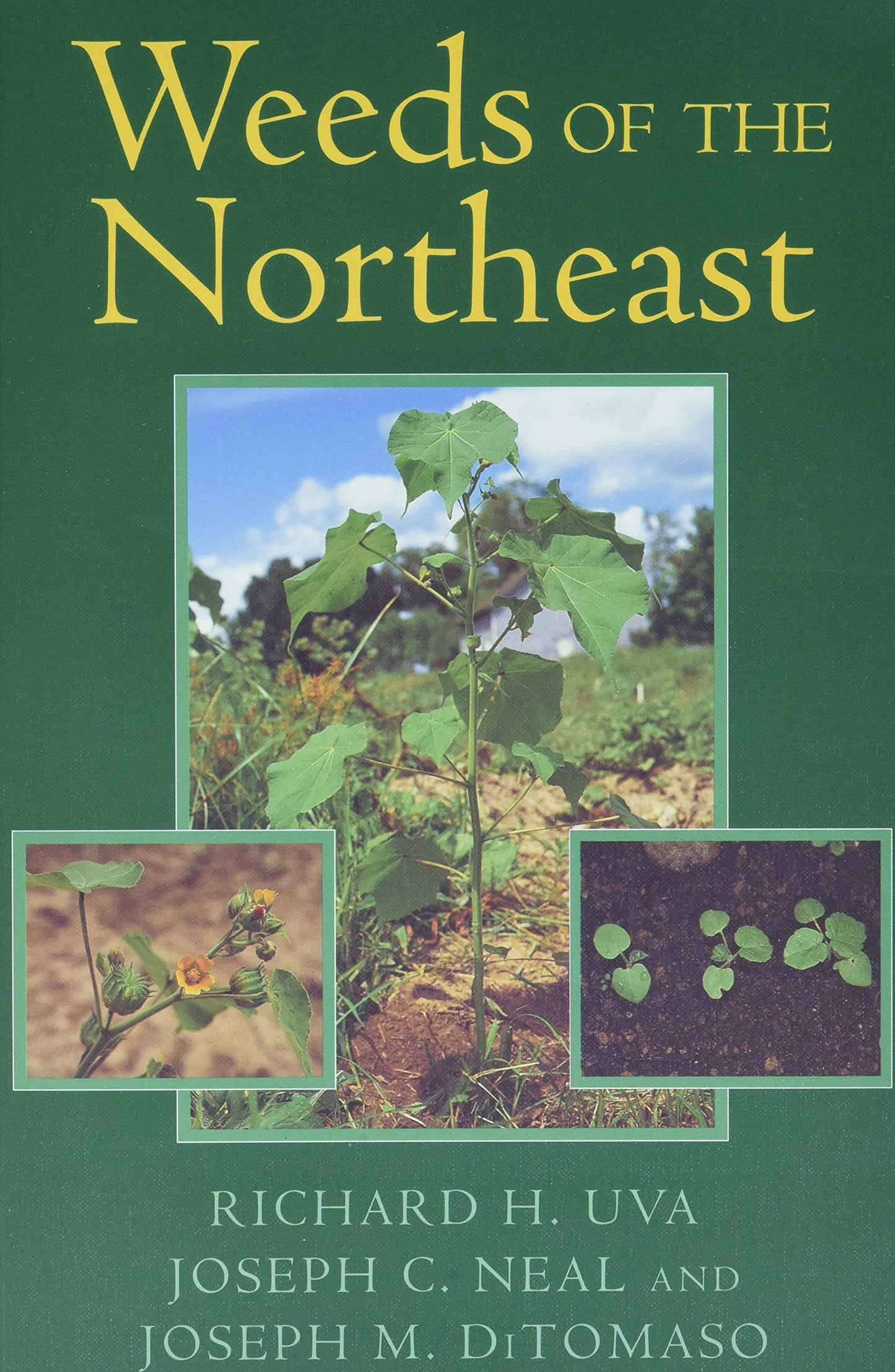 Weeds of the Northeast book cover