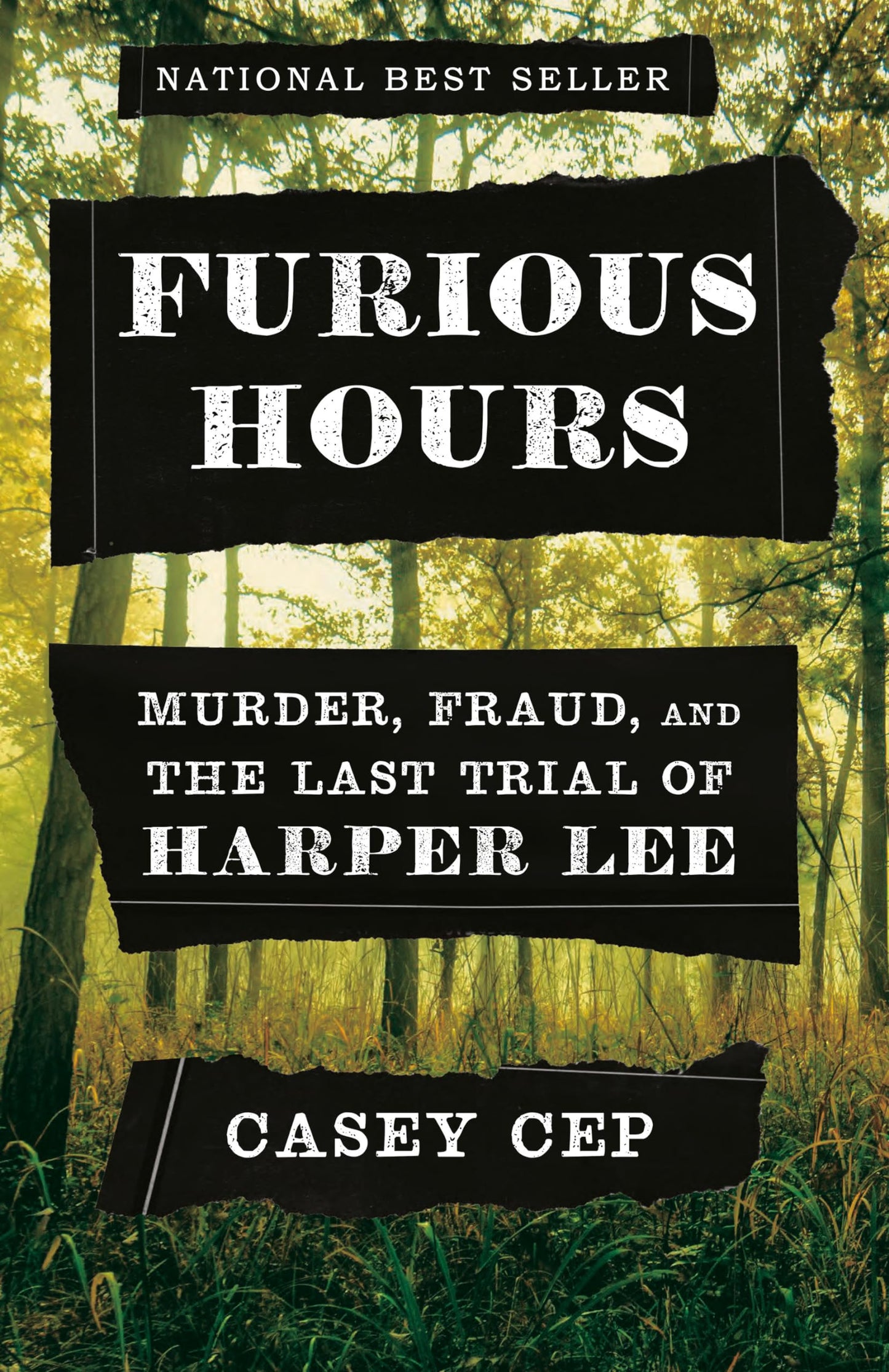 Furious Hours: Murder, Fraud, and the Last Trial of Harper Lee book cover