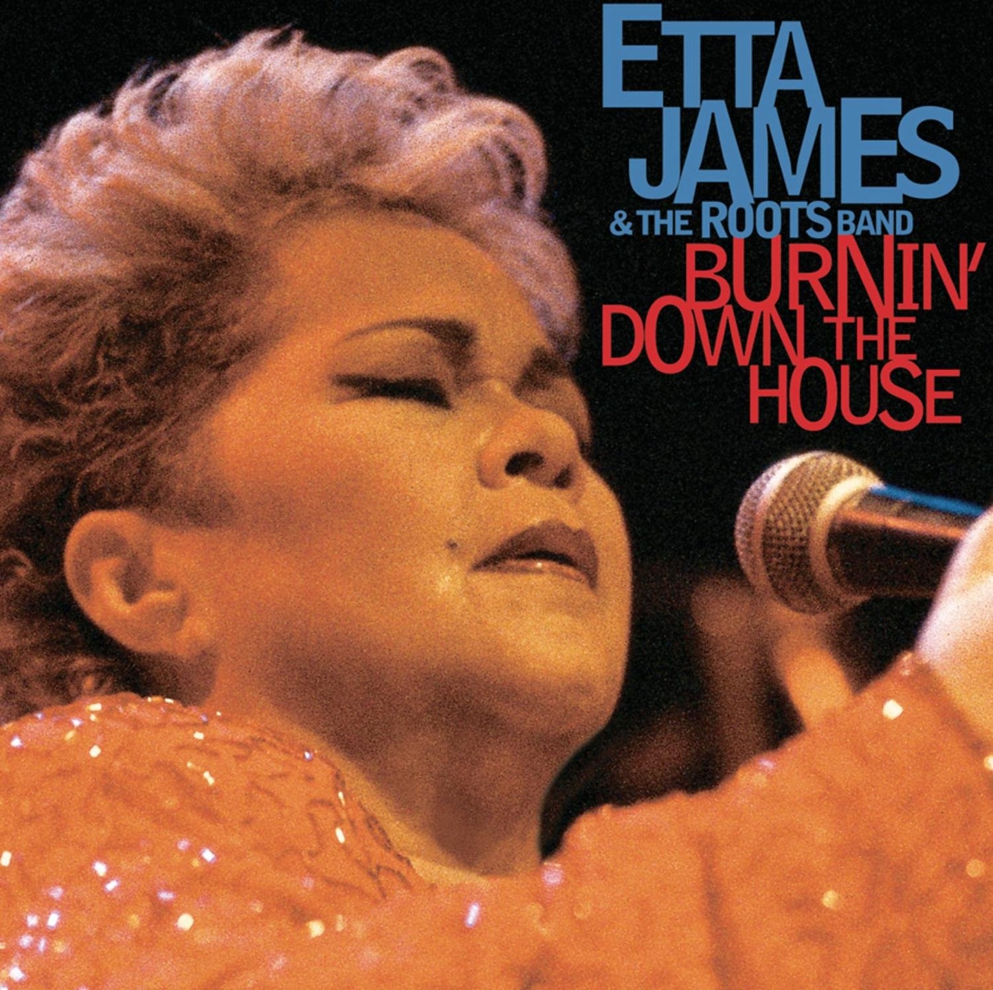 Burnin Down the House book cover
