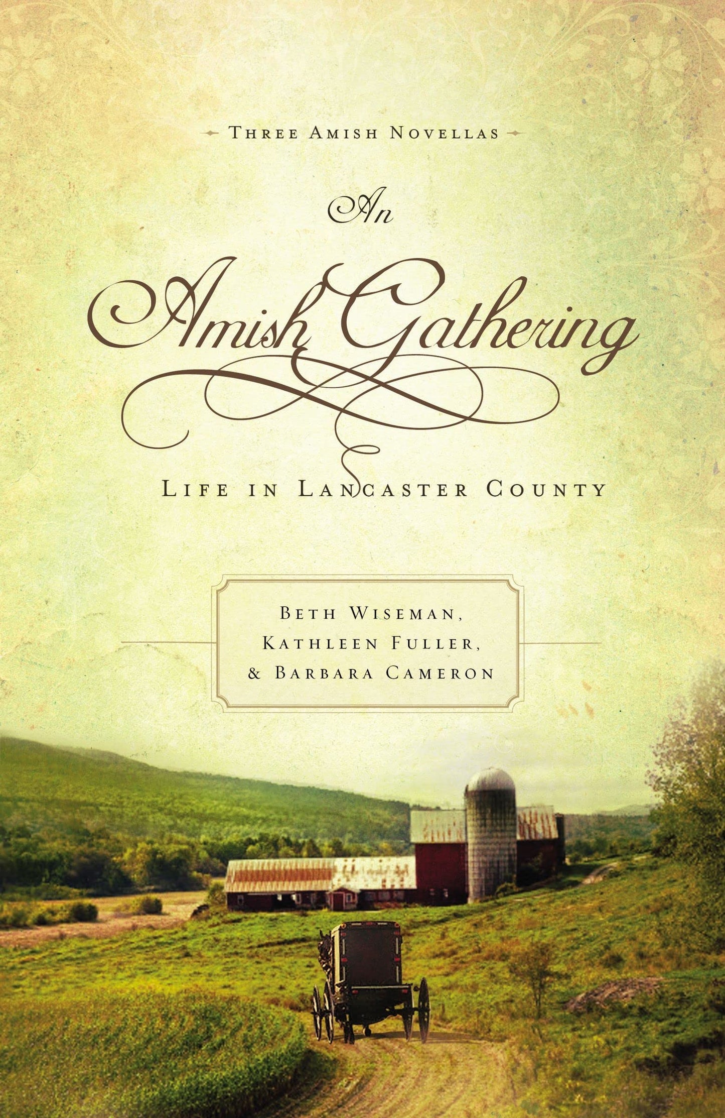 Amish Gathering: Life in Lancaster County book cover