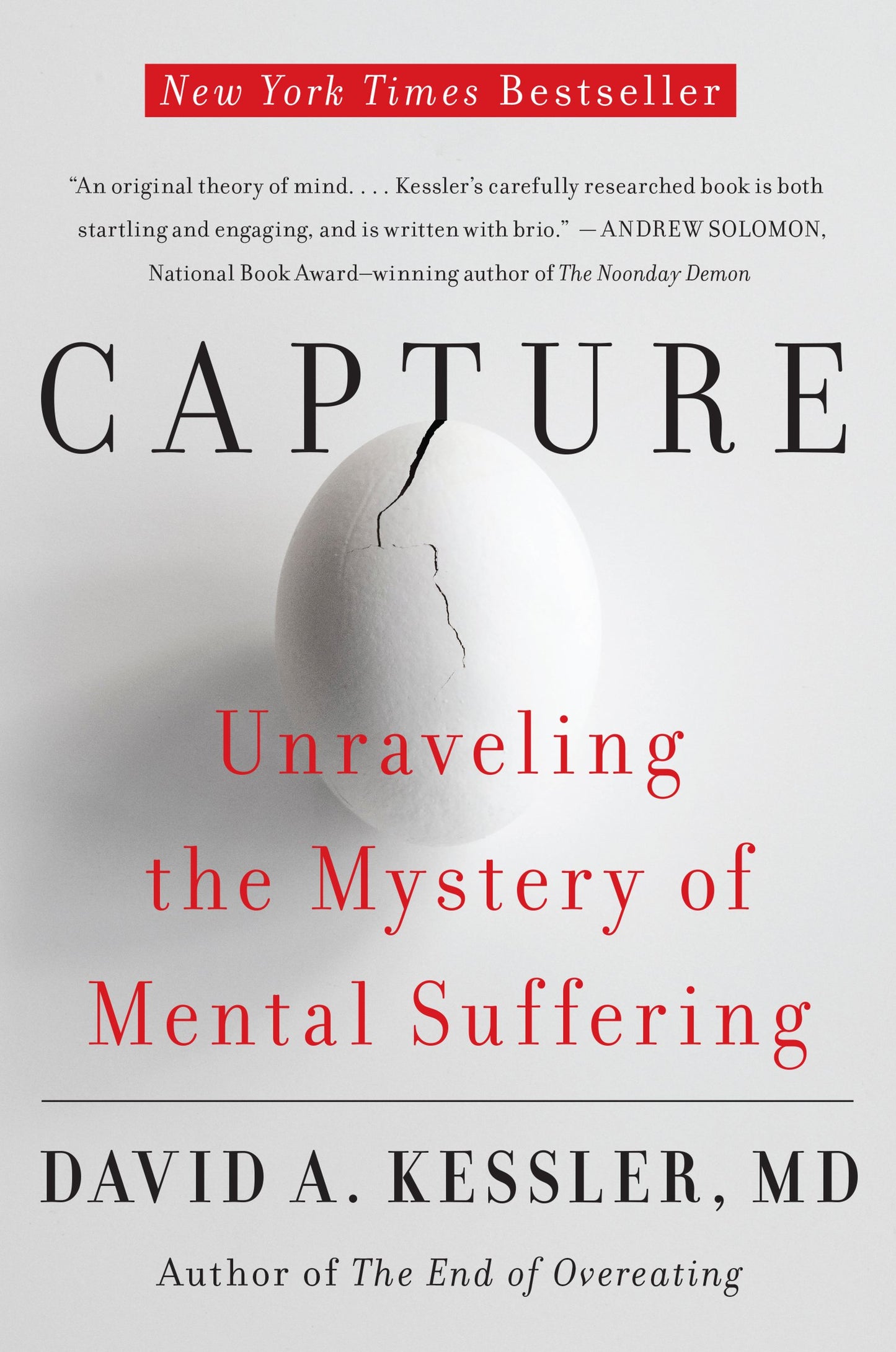 Capture: Unraveling the Mystery of Mental Suffering book cover