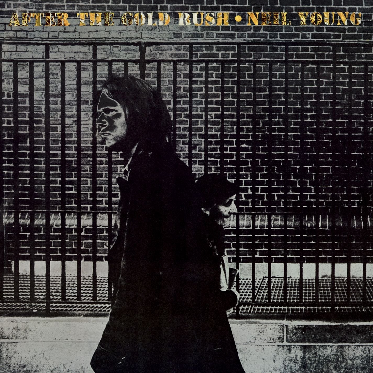 After the Gold Rush (Rmst) book cover