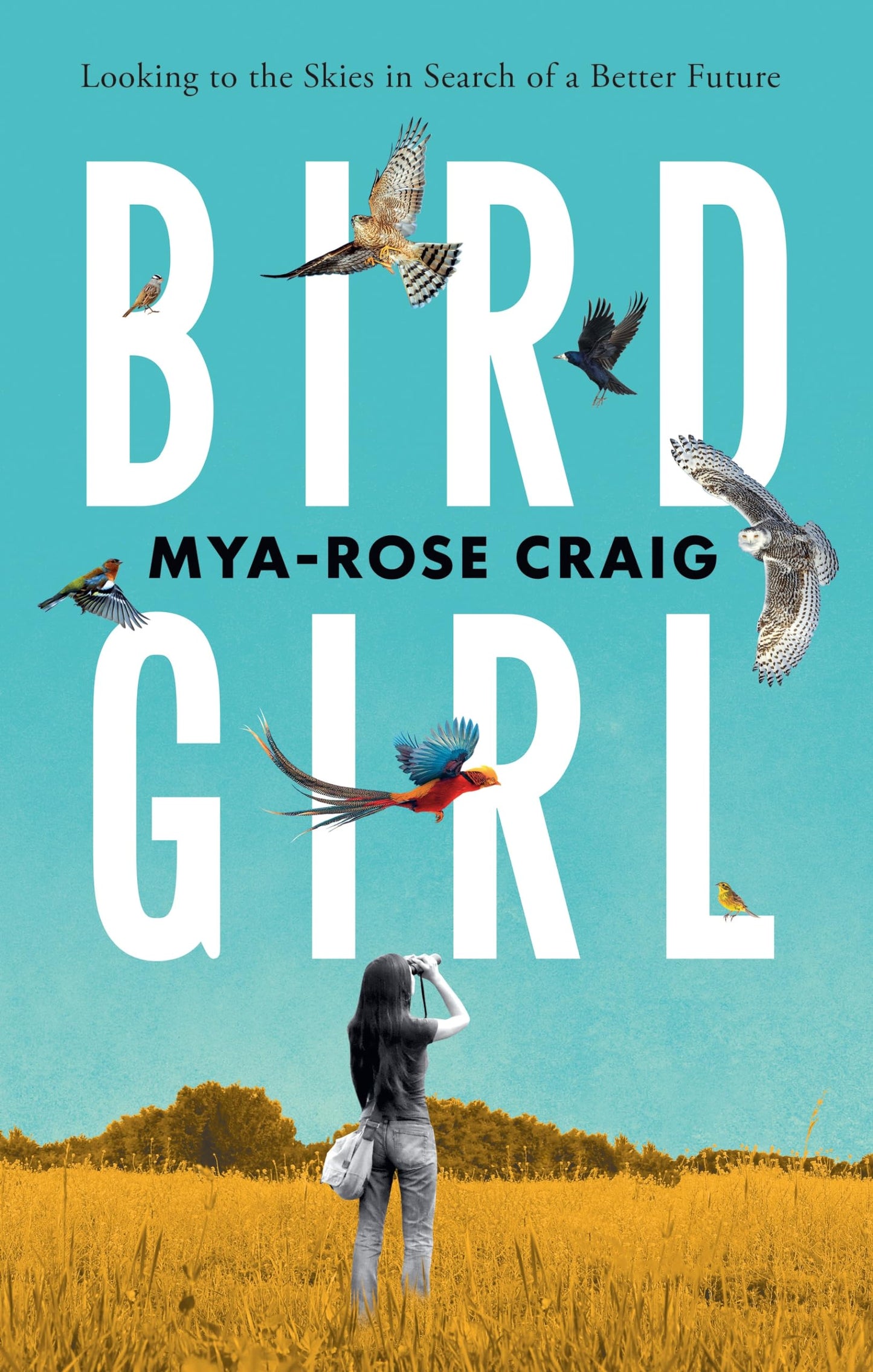 Birdgirl: Looking to the Skies in Search of a Better Future book cover