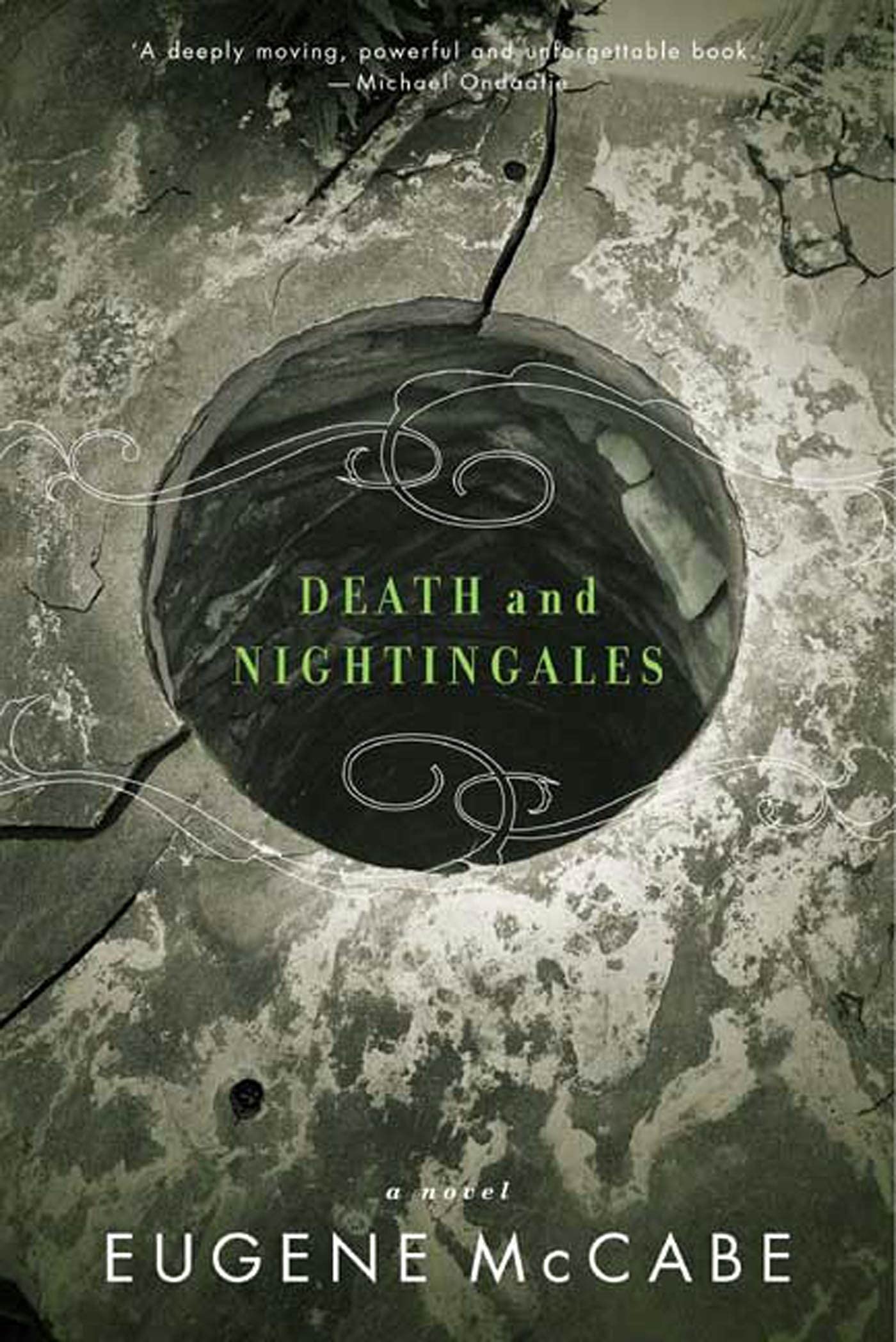 Death and Nightingales book cover
