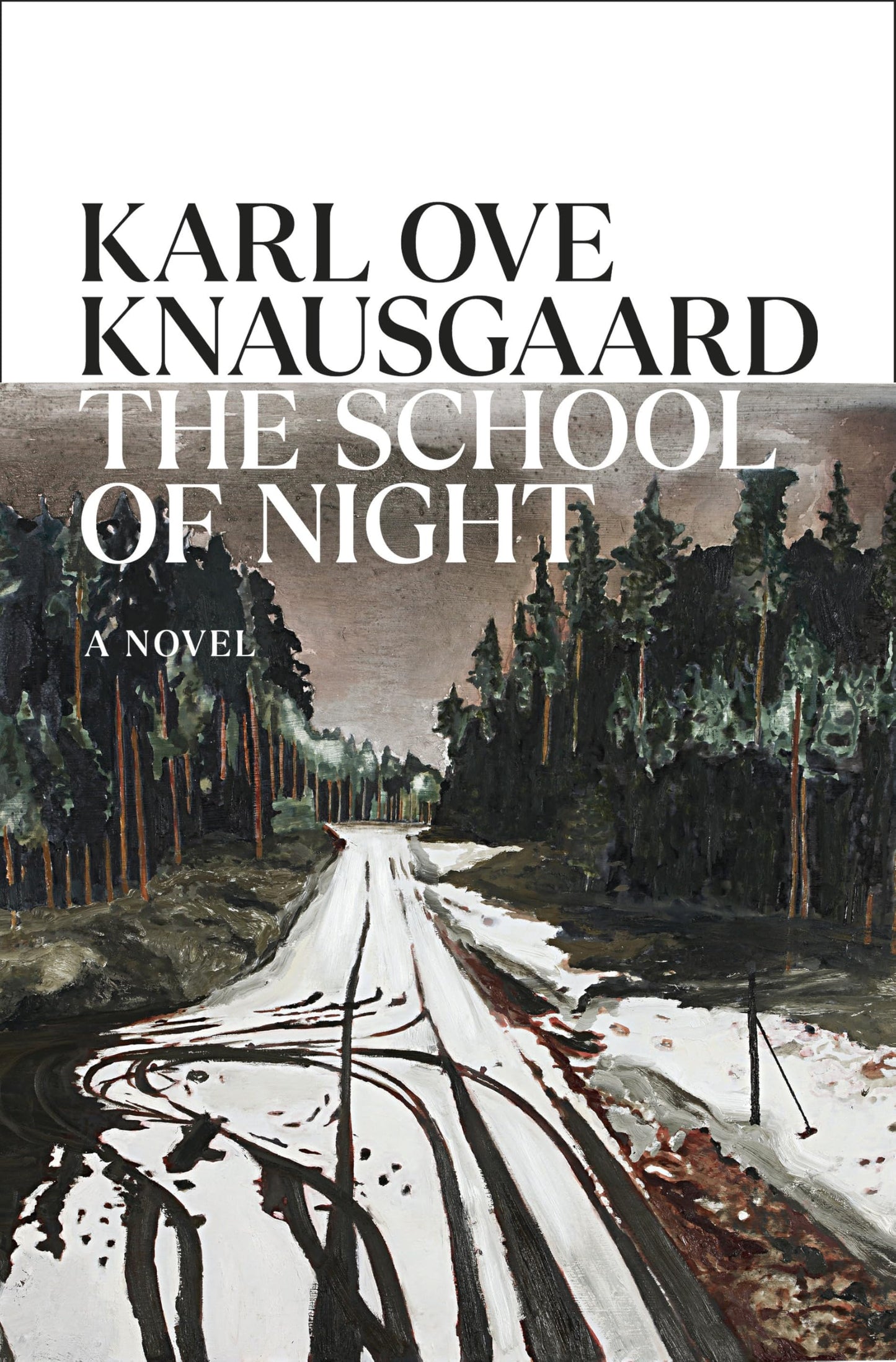 The School of Night book cover
